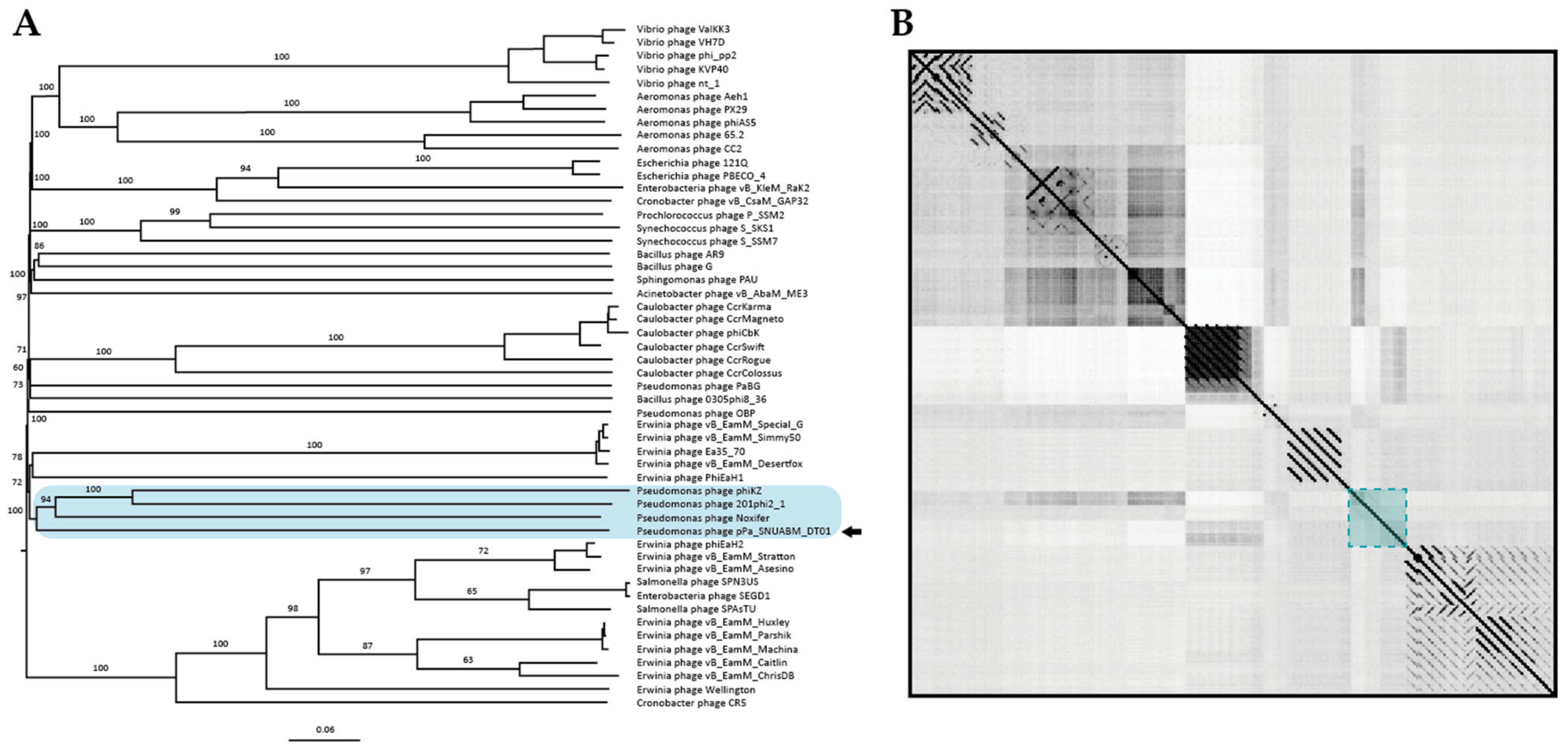 Microorganisms 09 02040 g004 550