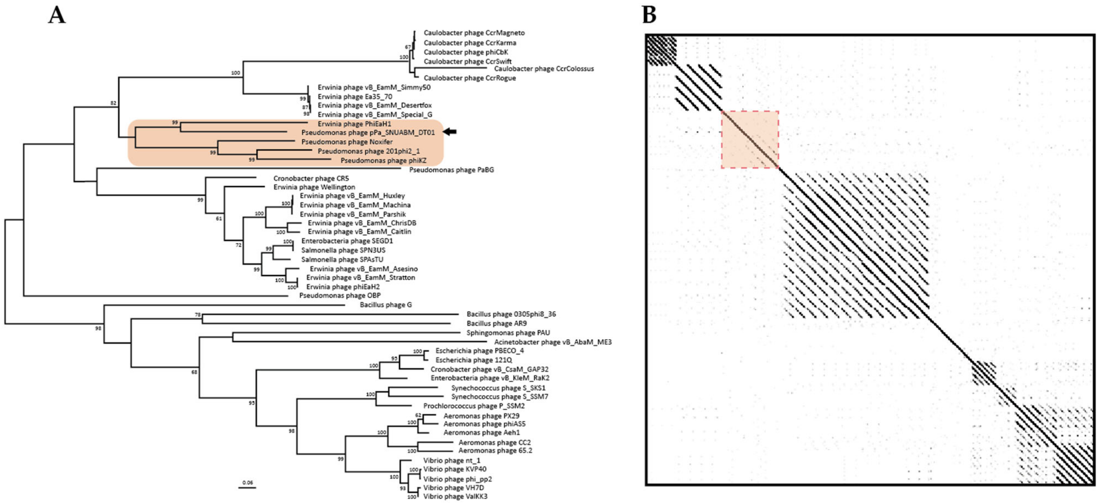 Microorganisms 09 02040 g005 550
