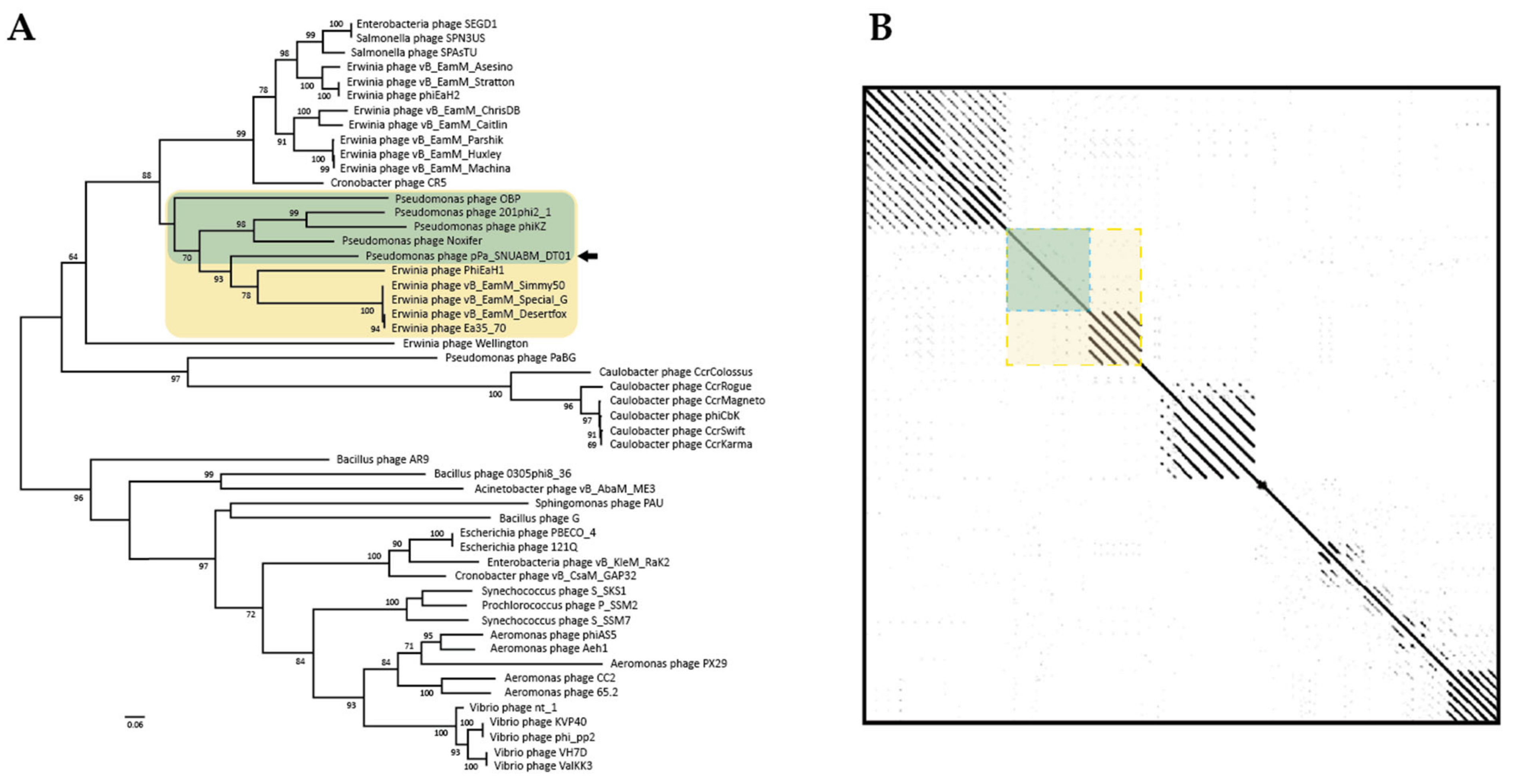 Microorganisms 09 02040 g006 550