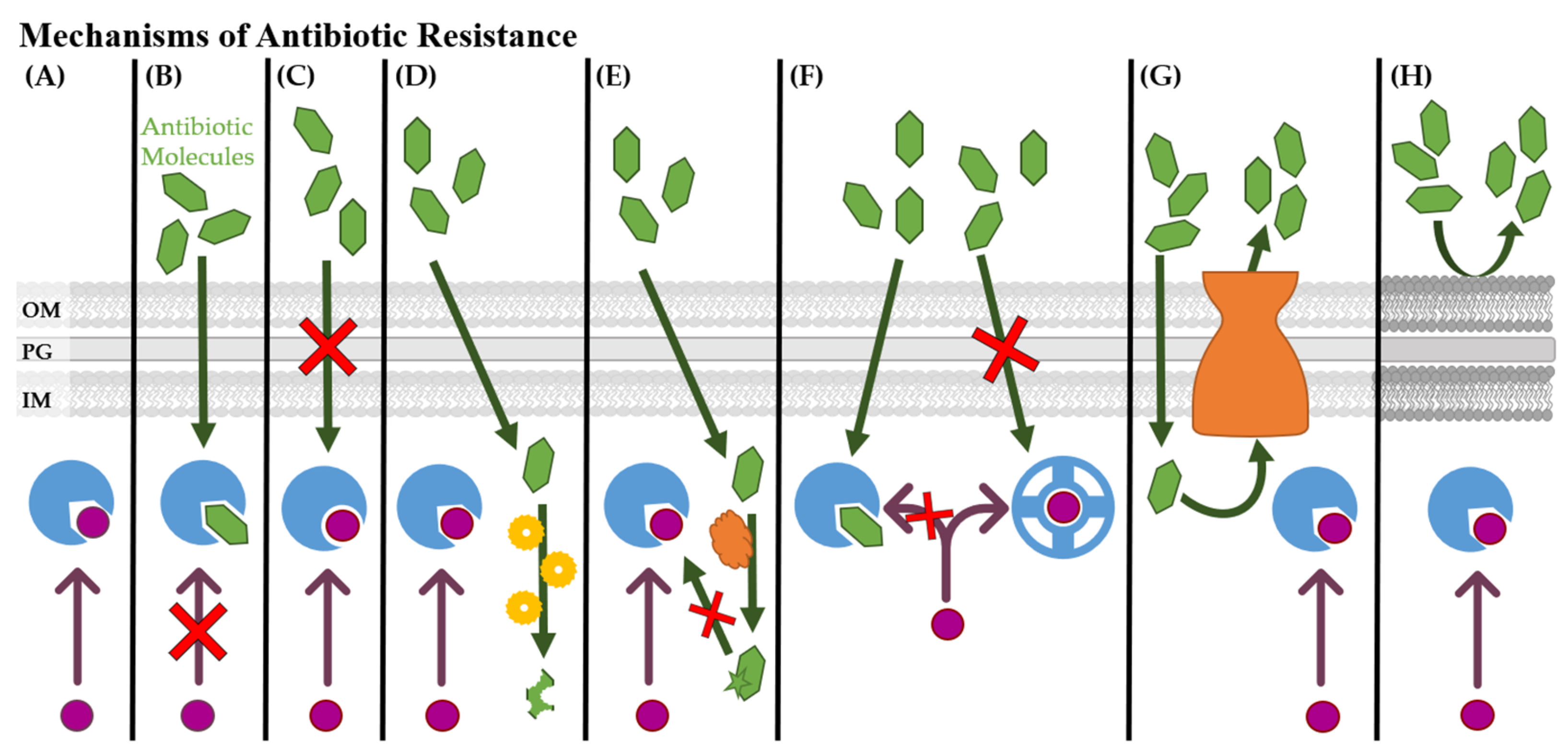 Microorganisms 09 02049 g002 Microorganisms 09 02049 g002
