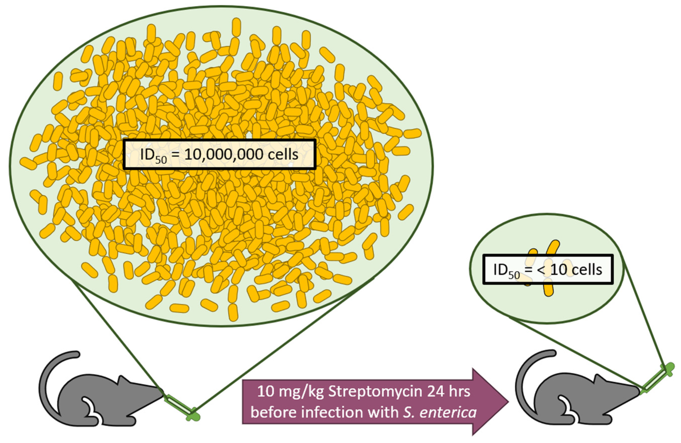 Microorganisms 09 02049 g004 Microorganisms 09 02049 g004