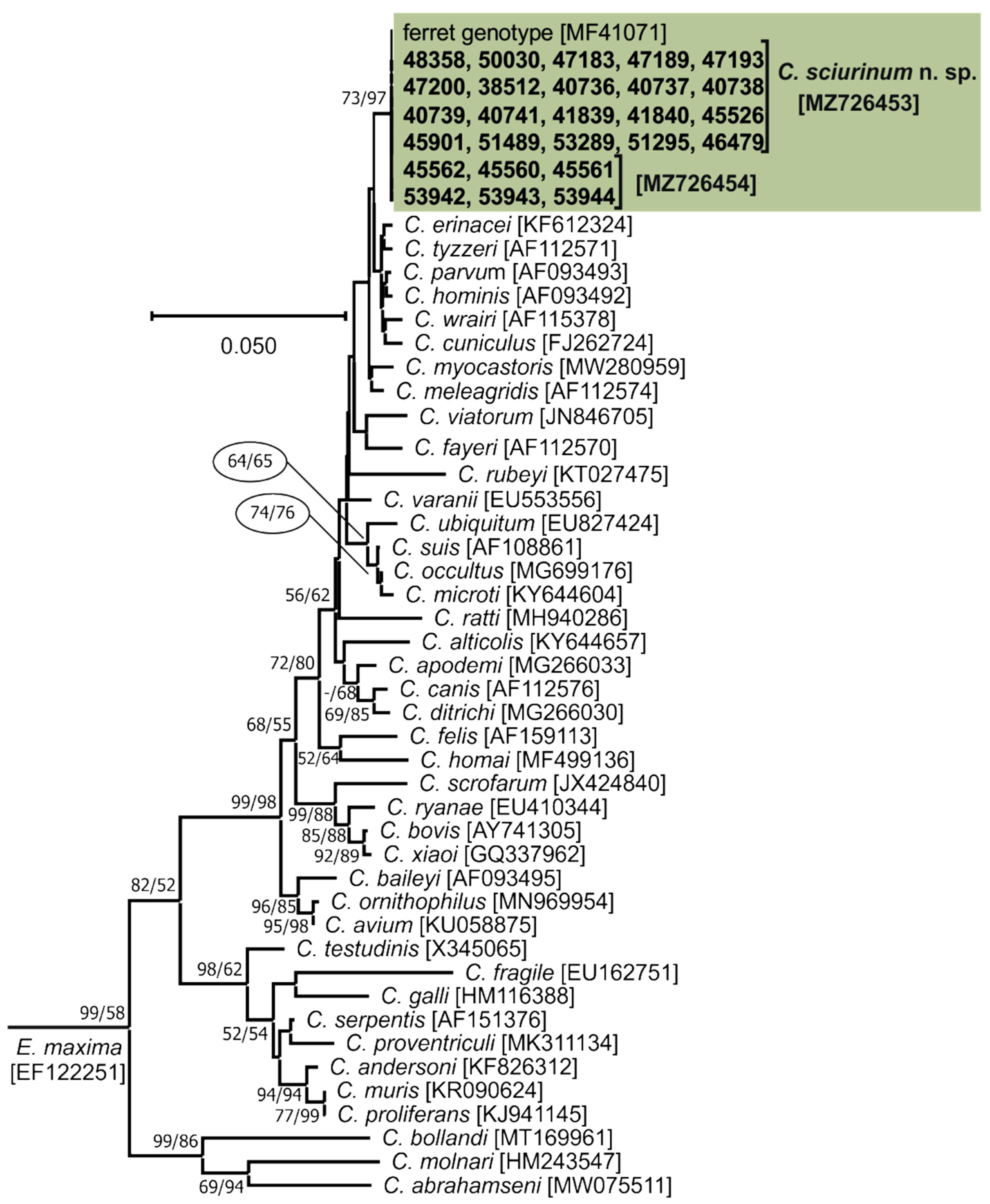 Microorganisms 09 02050 g002