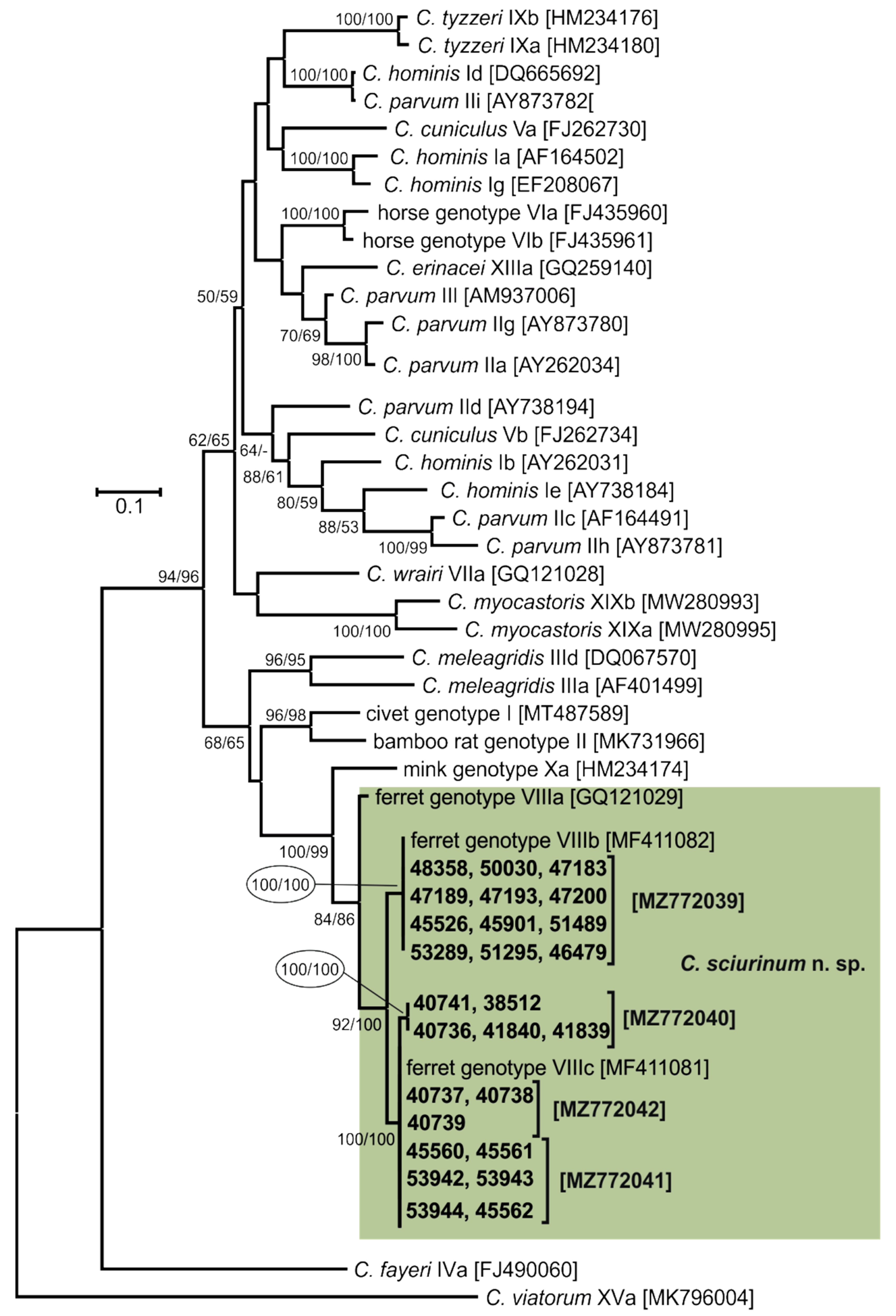 Microorganisms 09 02050 g003