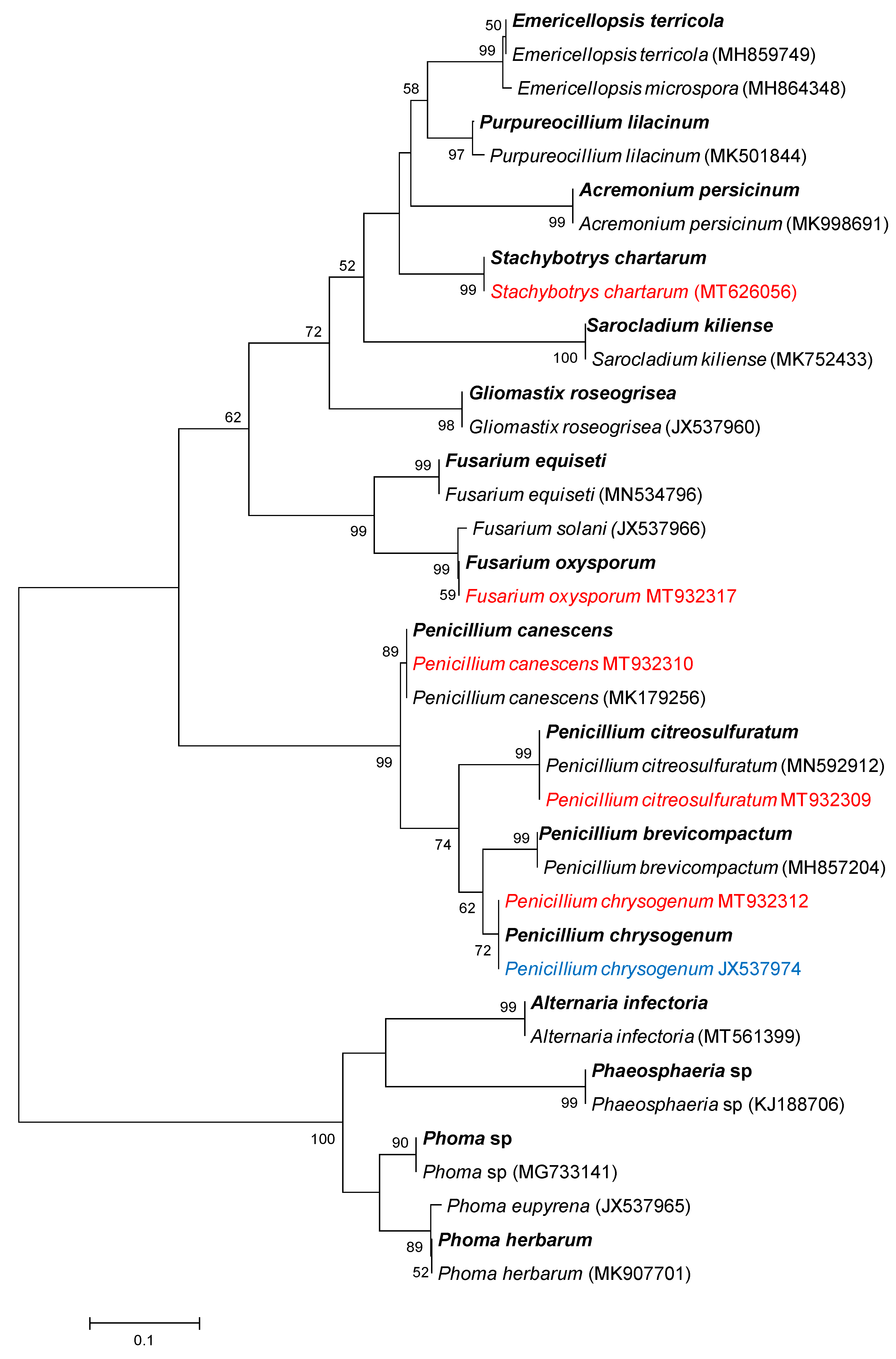 Microorganisms 09 02051 g004
