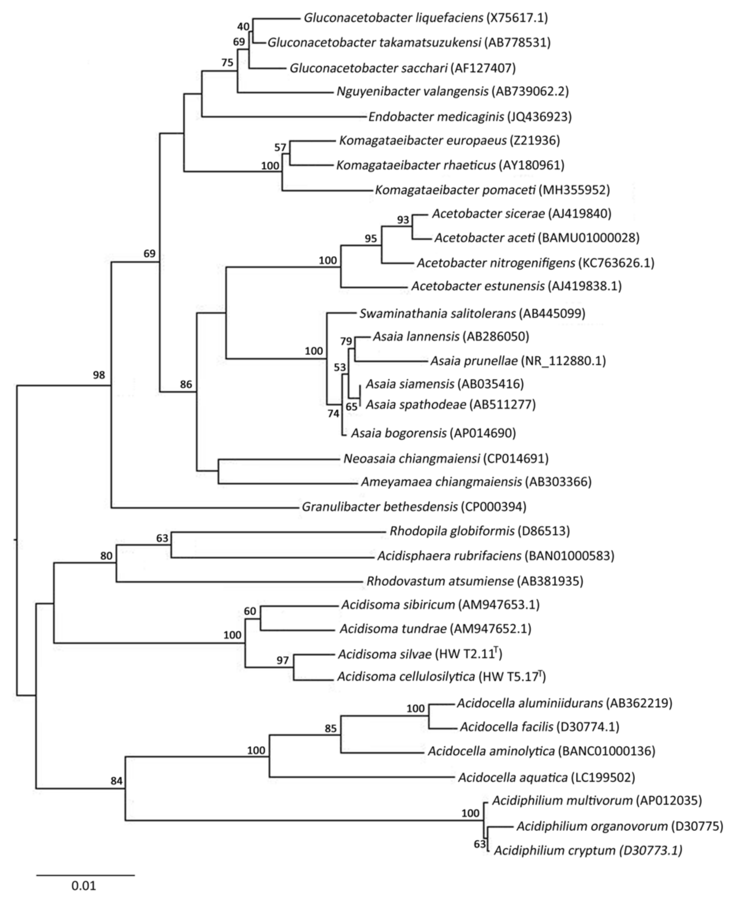 Microorganisms 09 02053 g001 550