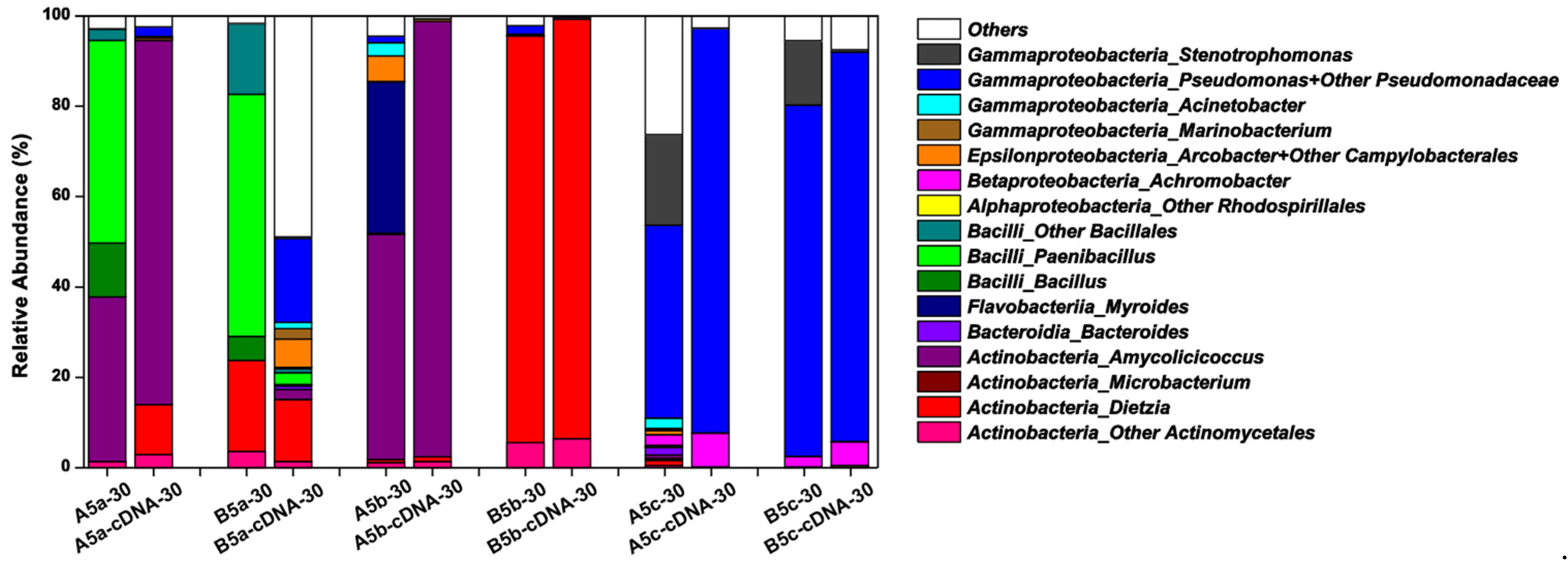 Microorganisms 09 02054 g004