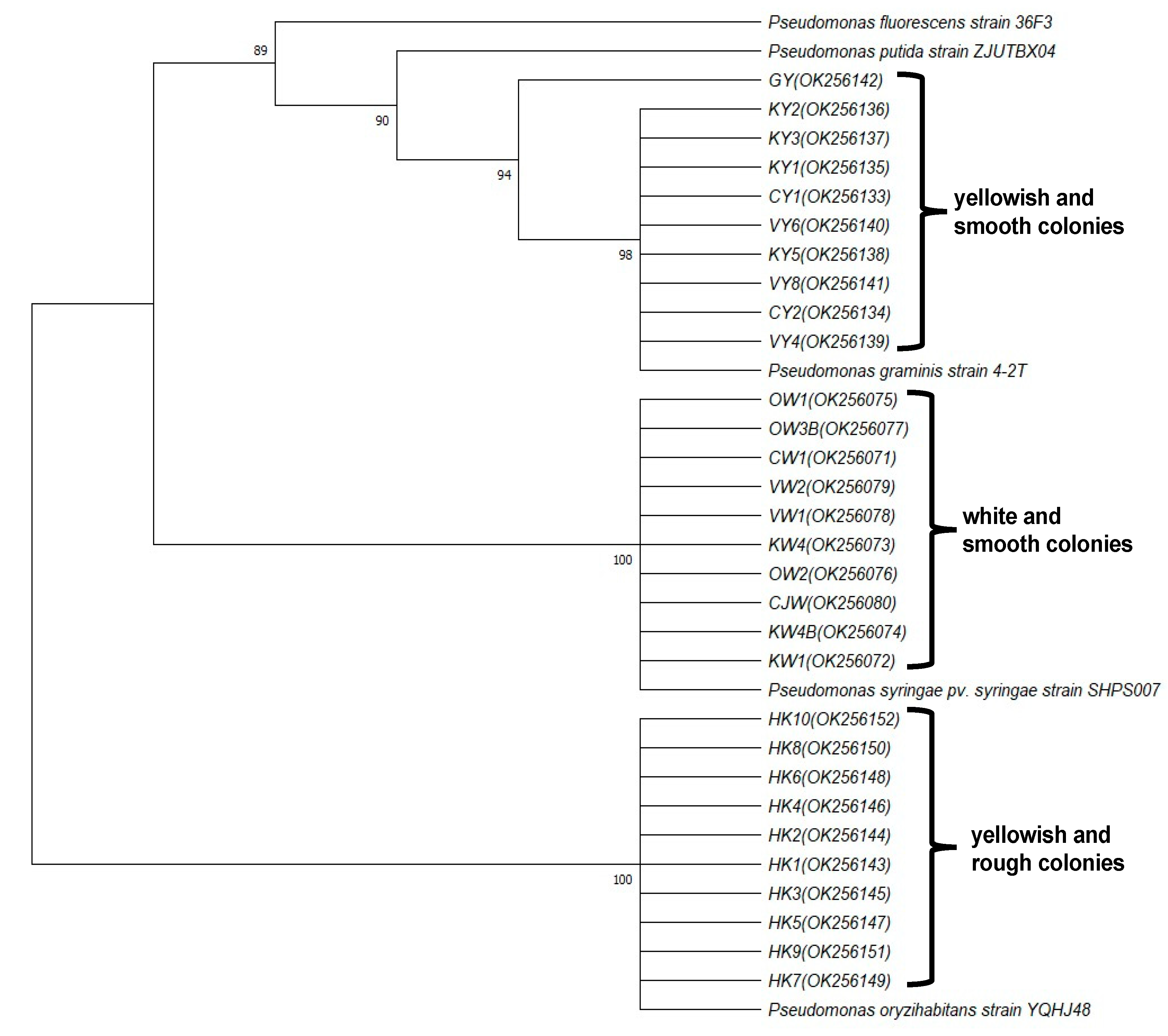 Microorganisms 09 02056 g007
