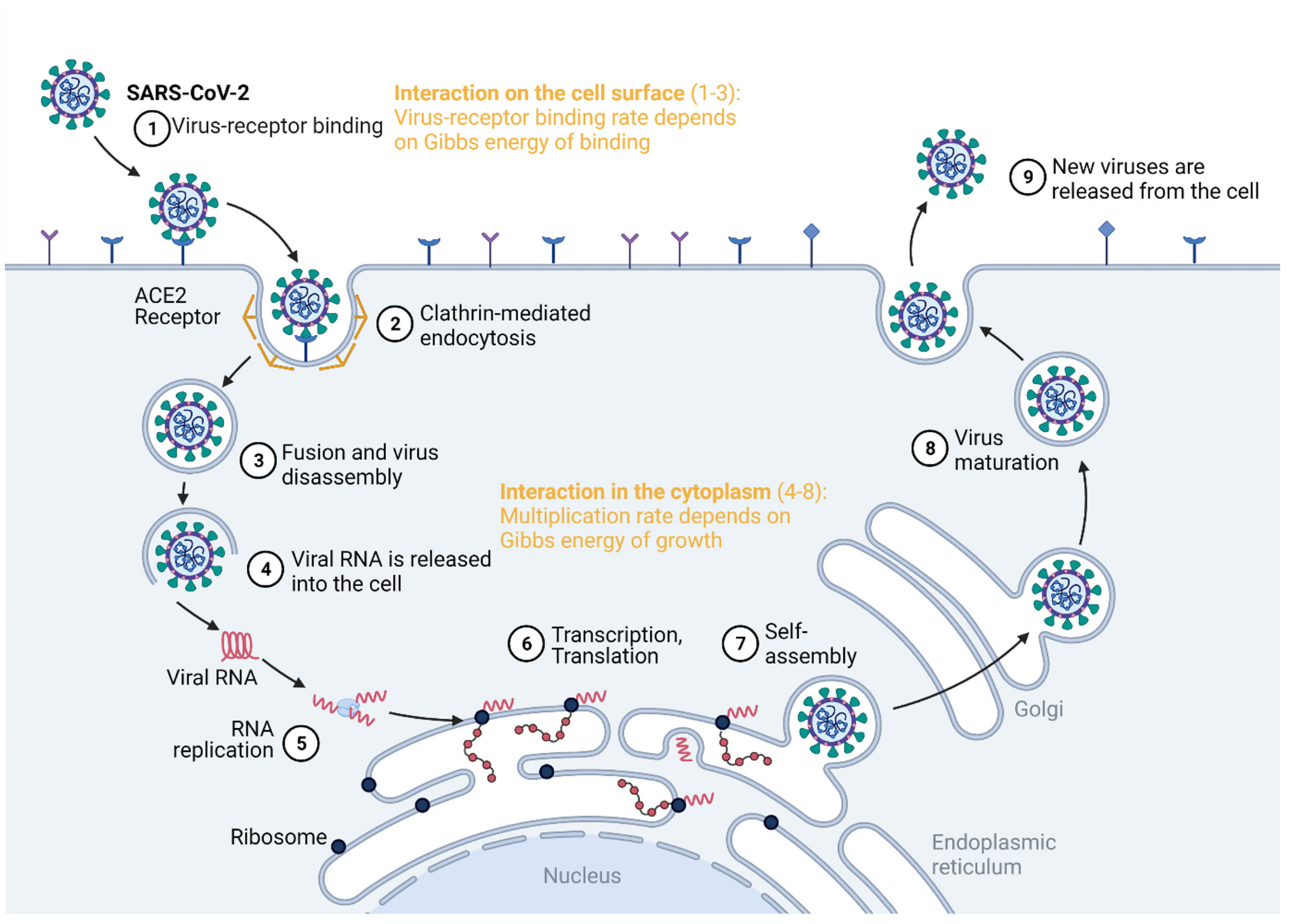 Microorganisms 09 02060 g001
