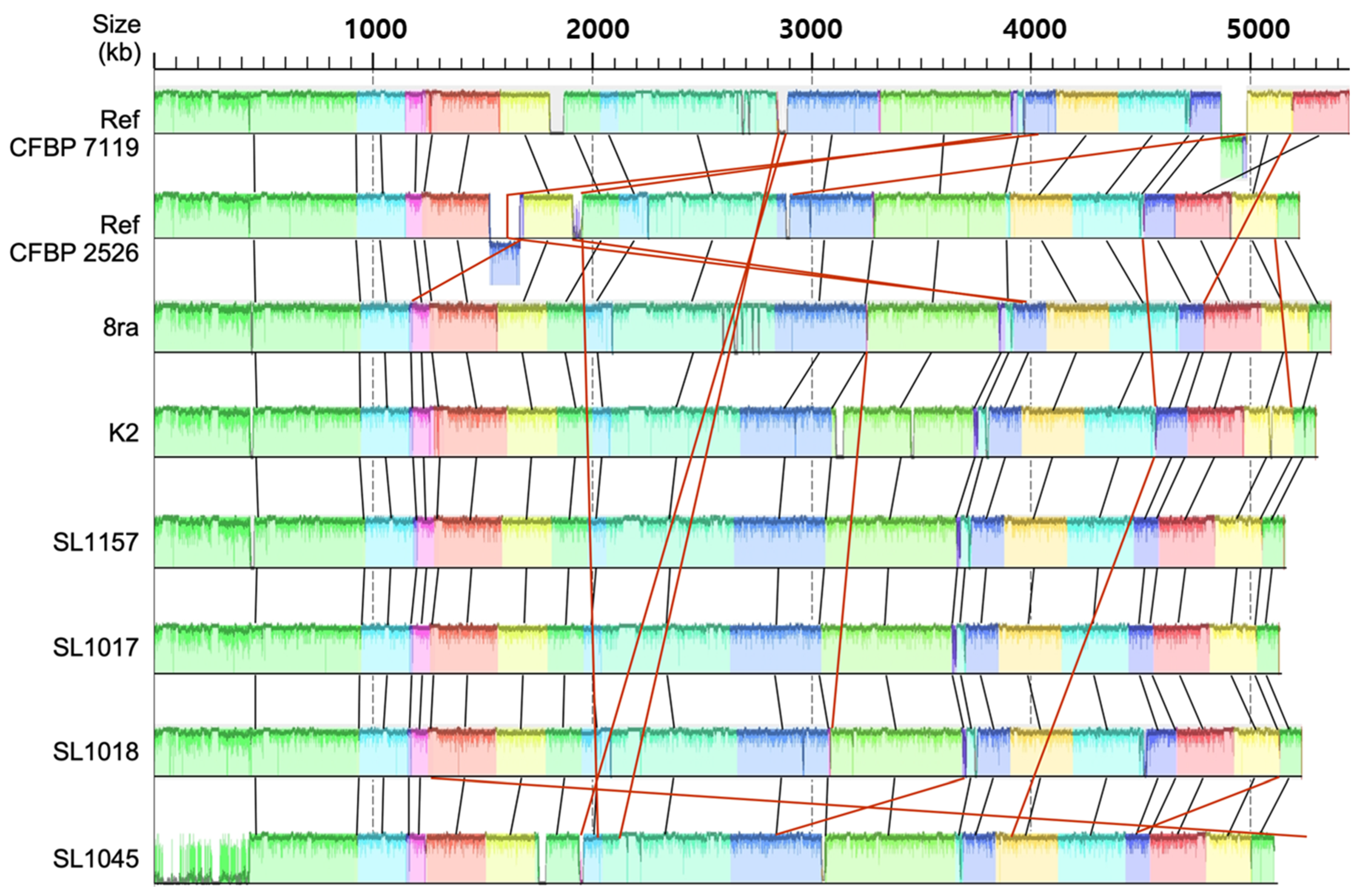 Microorganisms 09 02065 g001 Microorganisms 09 02065 g001