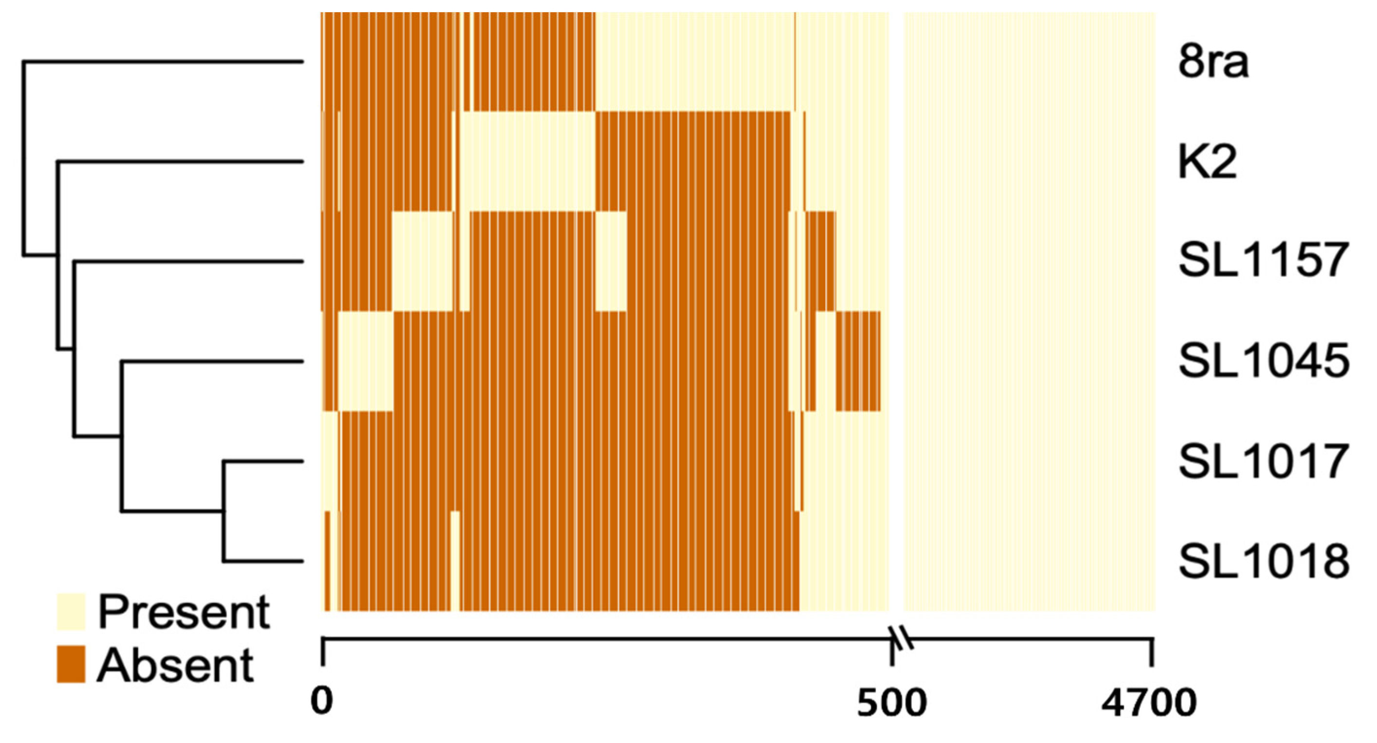 Microorganisms 09 02065 g002 Microorganisms 09 02065 g002