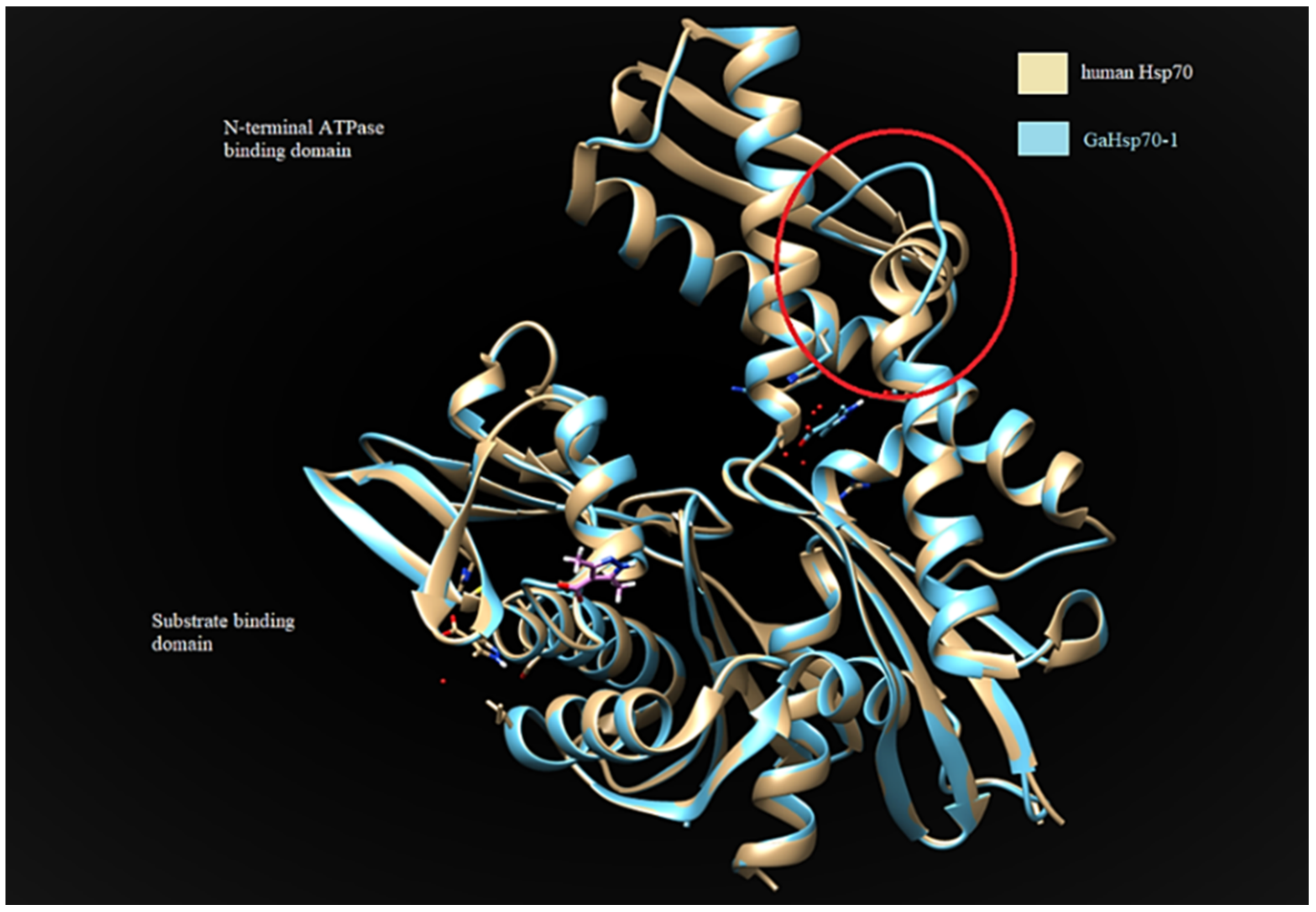 Microorganisms 09 02069 g004