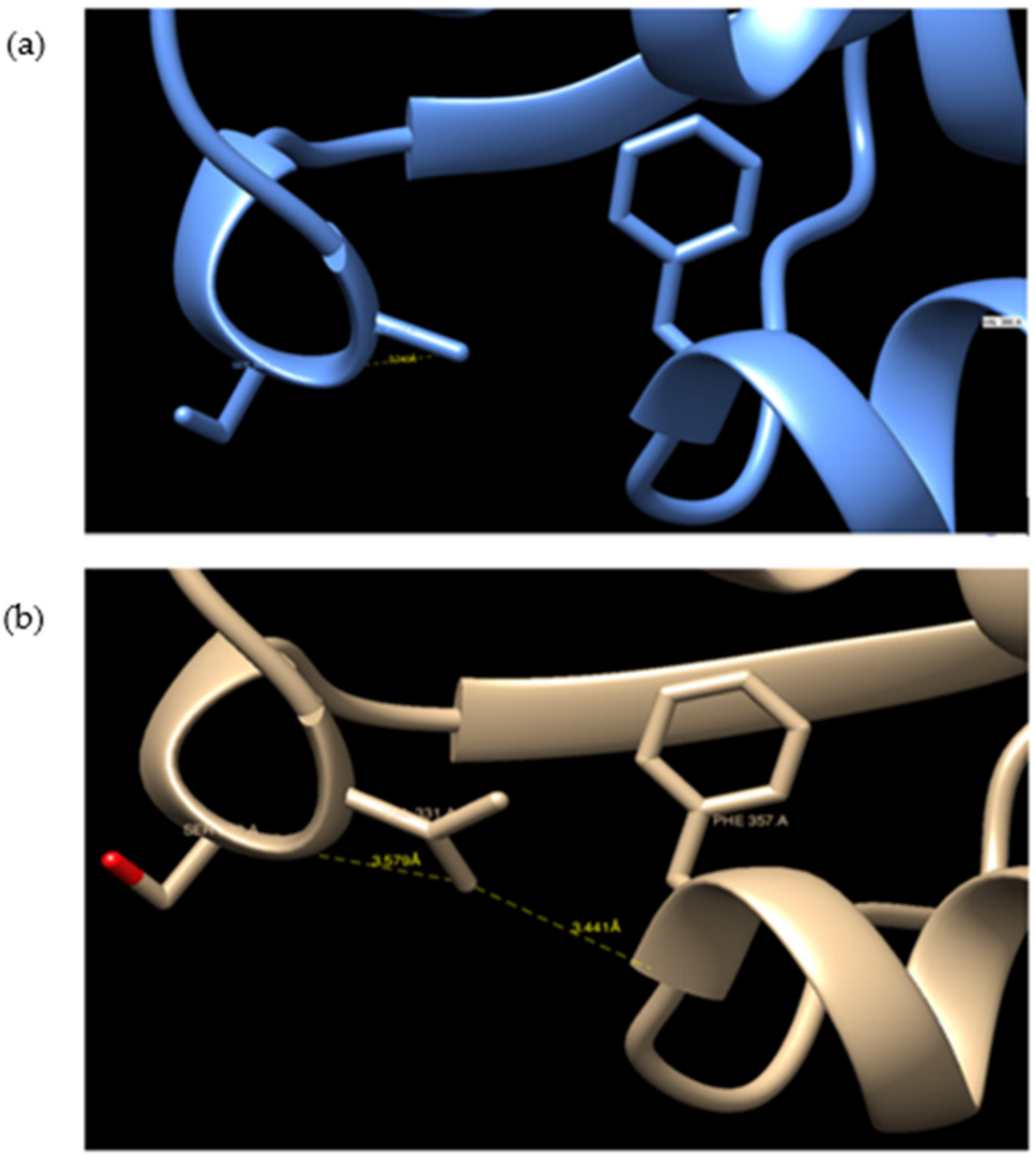 Microorganisms 09 02069 g005