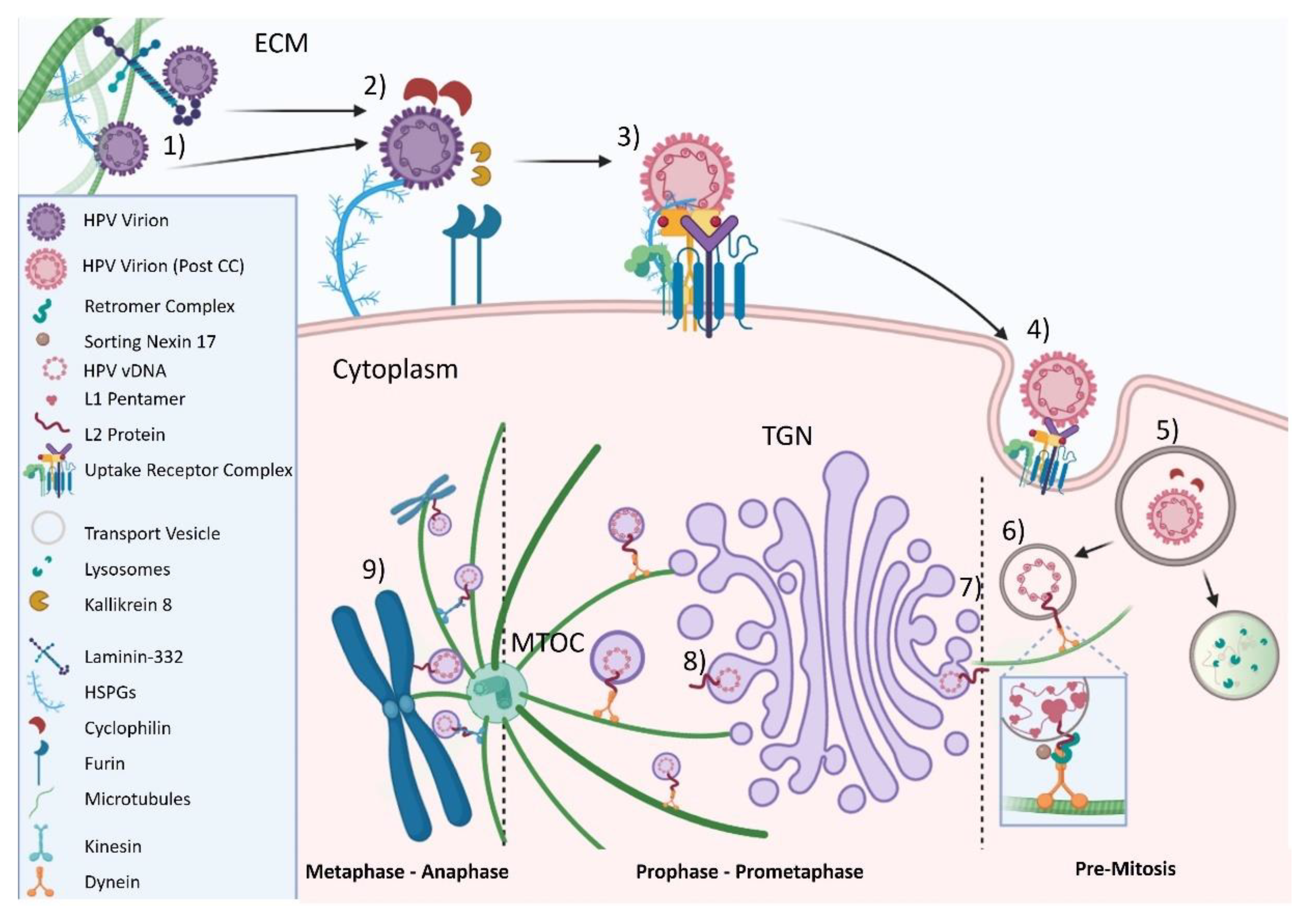 Microorganisms 09 02076 g001