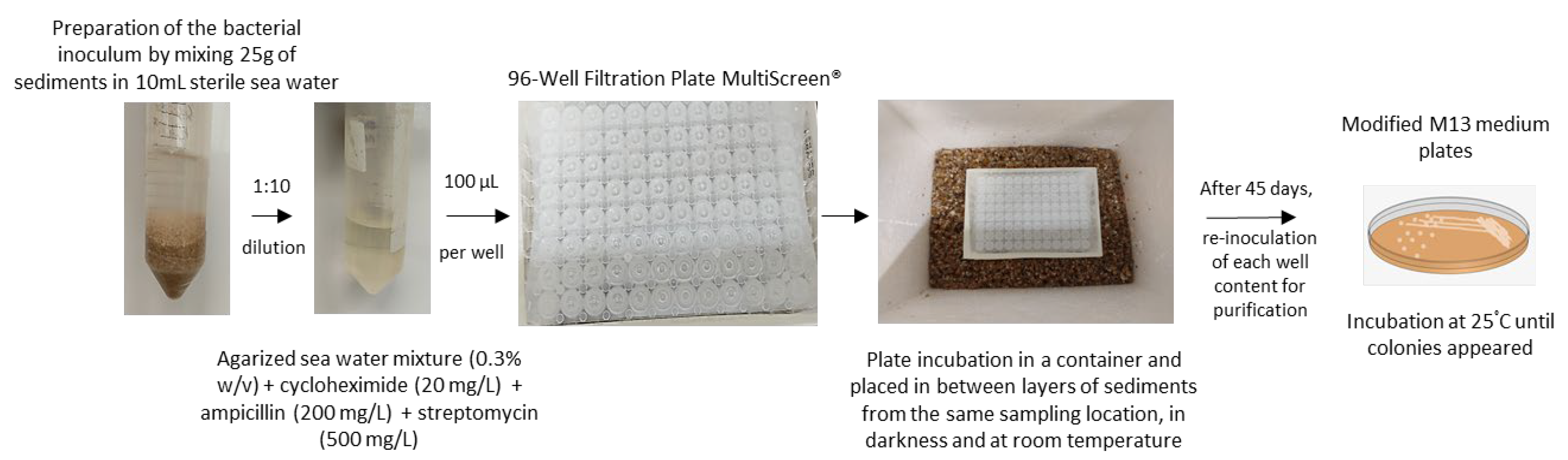 Microorganisms 09 02078 g001 550