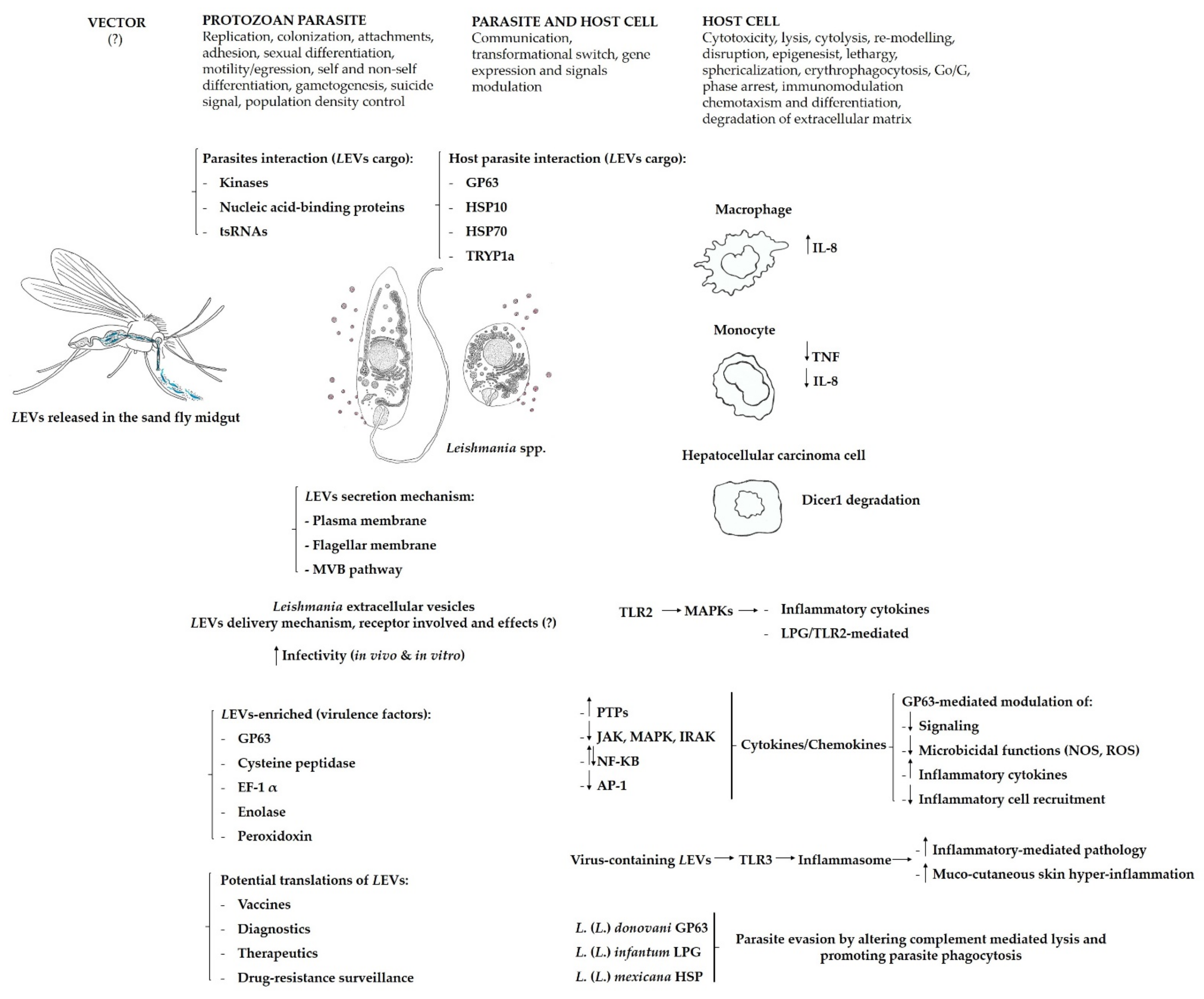 Microorganisms 09 02081 g005 Microorganisms 09 02081 g005