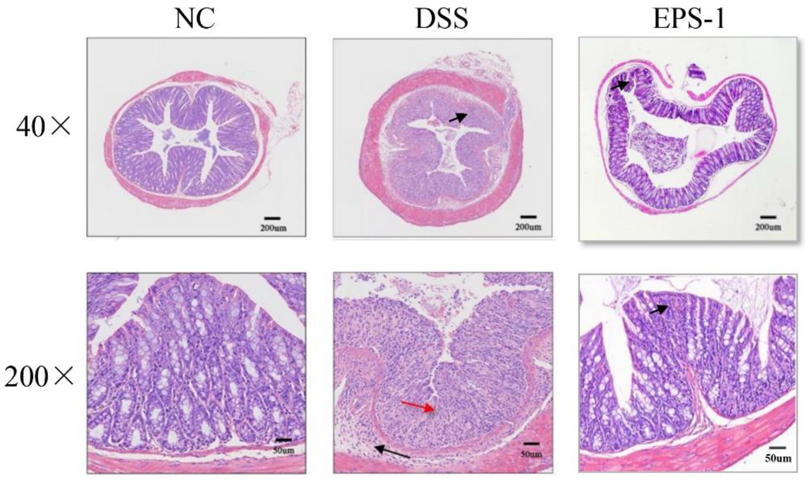 Microorganisms 09 02086 g002