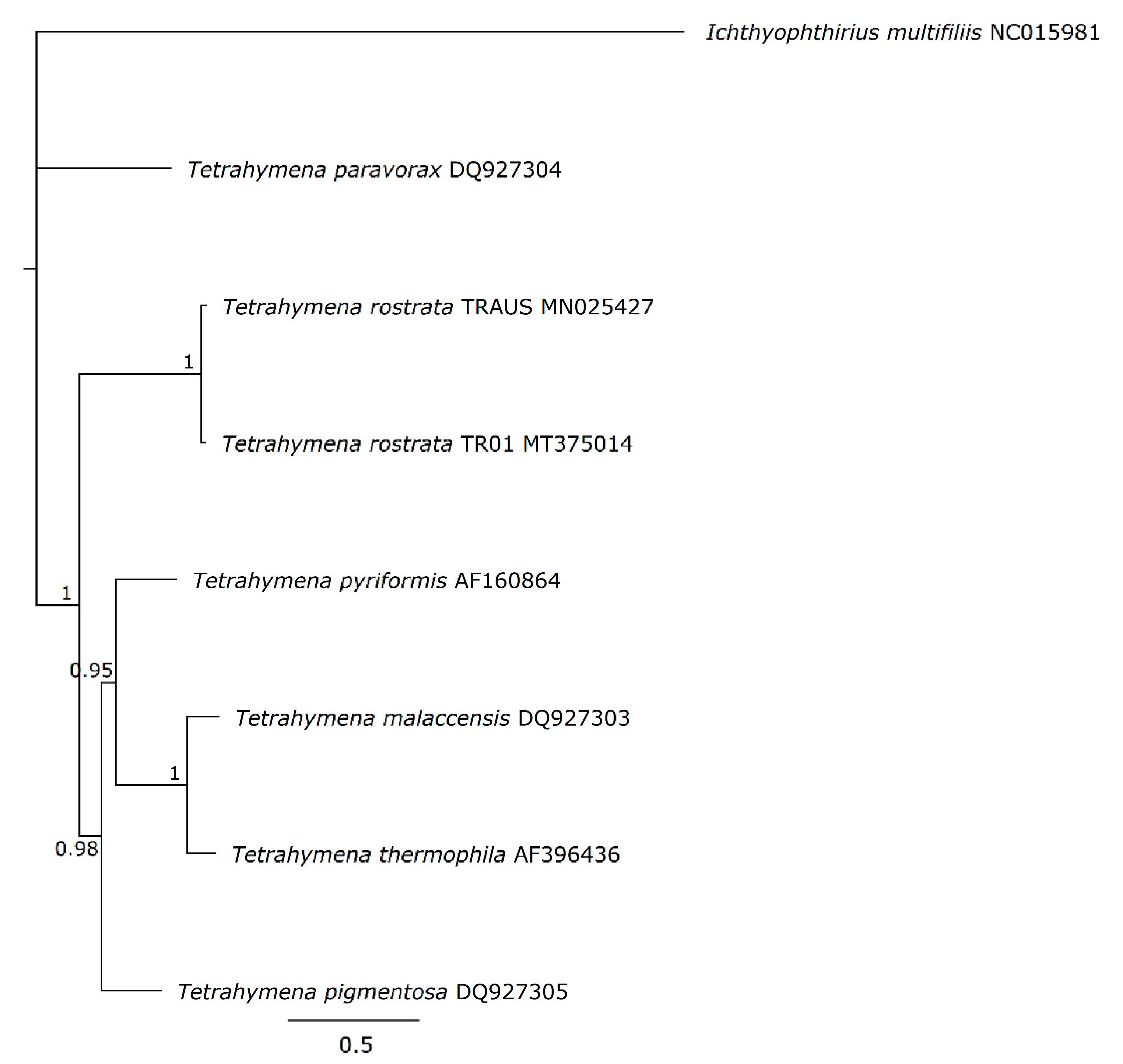 Microorganisms 09 02100 g003 Microorganisms 09 02100 g003