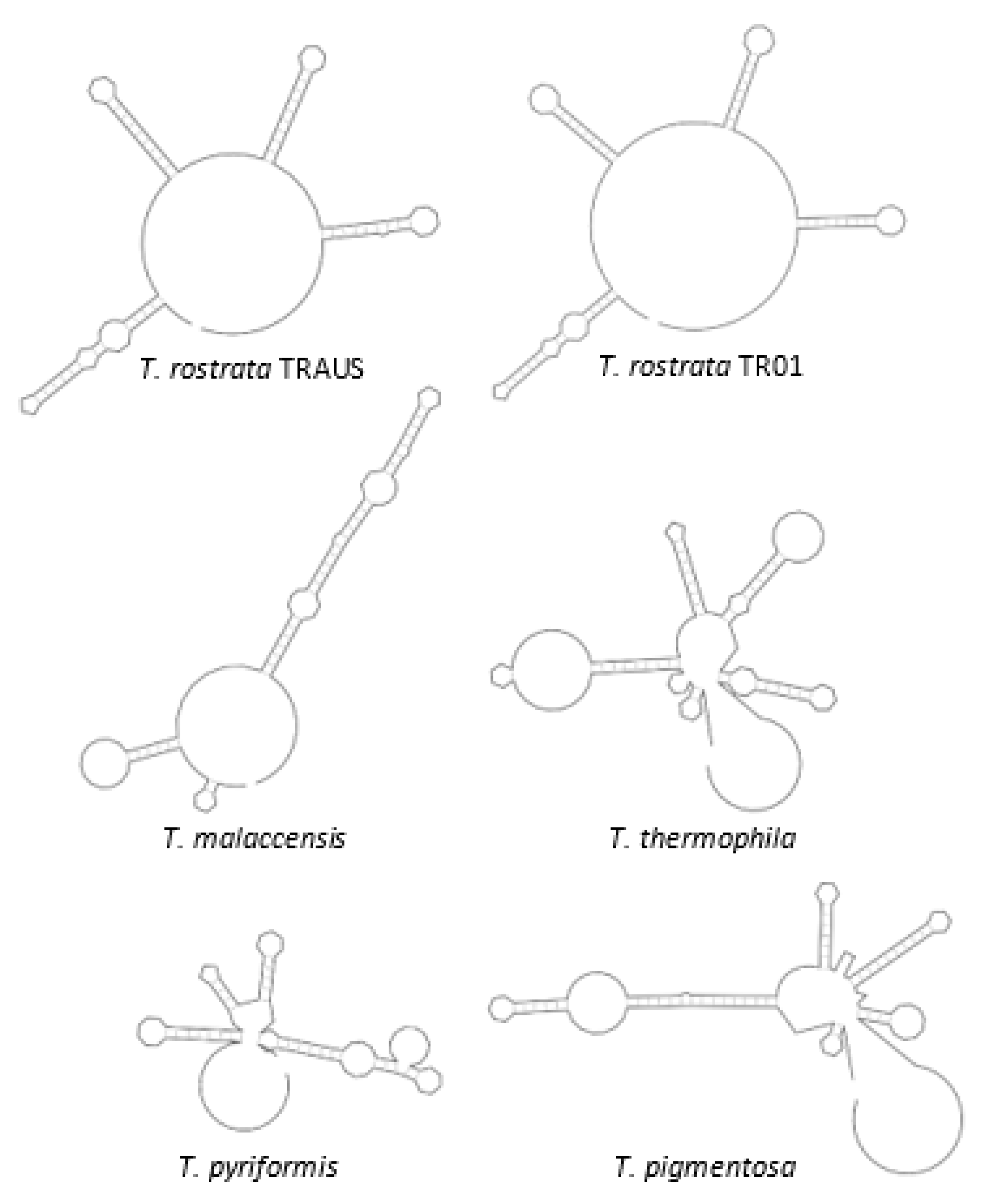 Microorganisms 09 02100 g005 Microorganisms 09 02100 g005