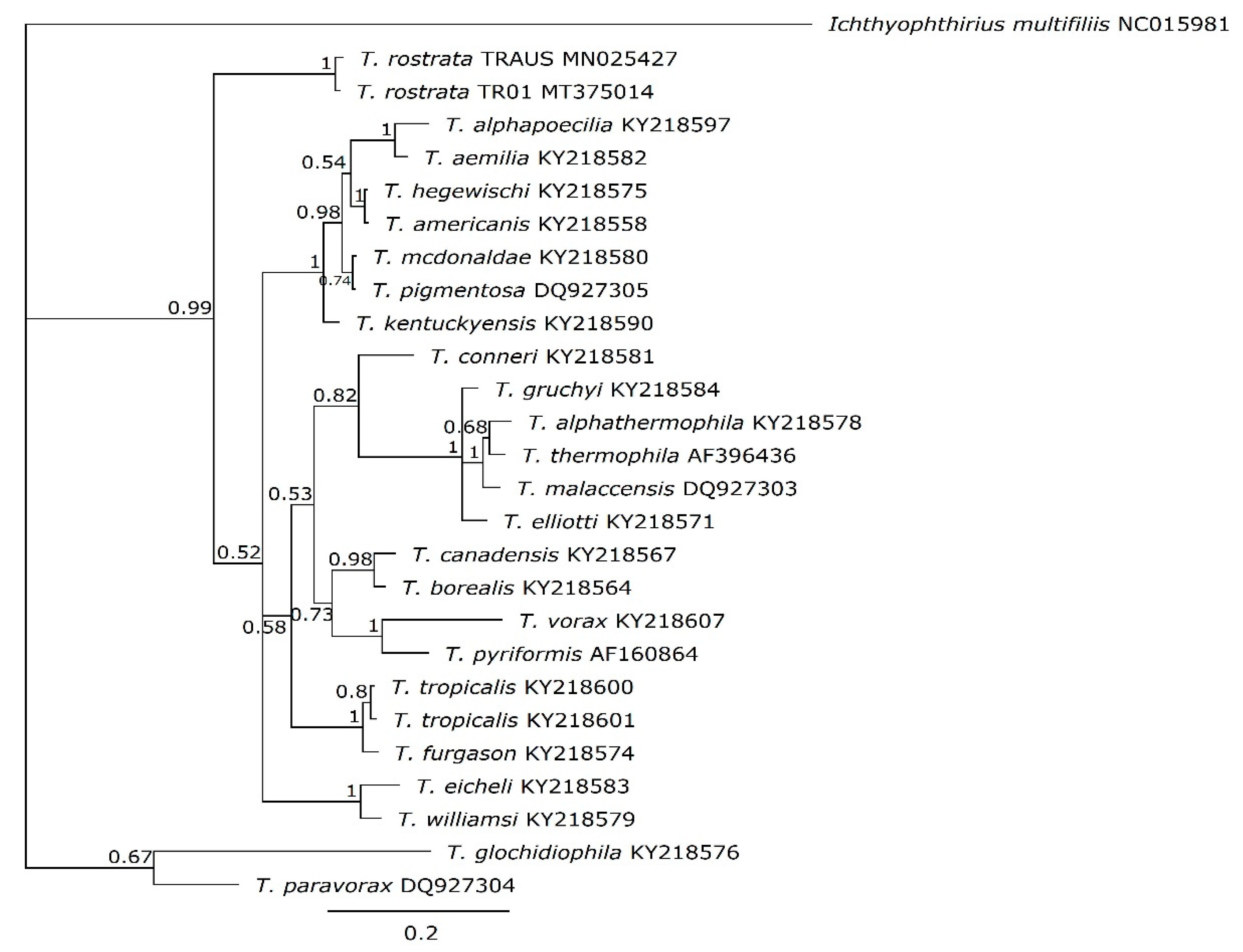 Microorganisms 09 02100 g006 Microorganisms 09 02100 g006