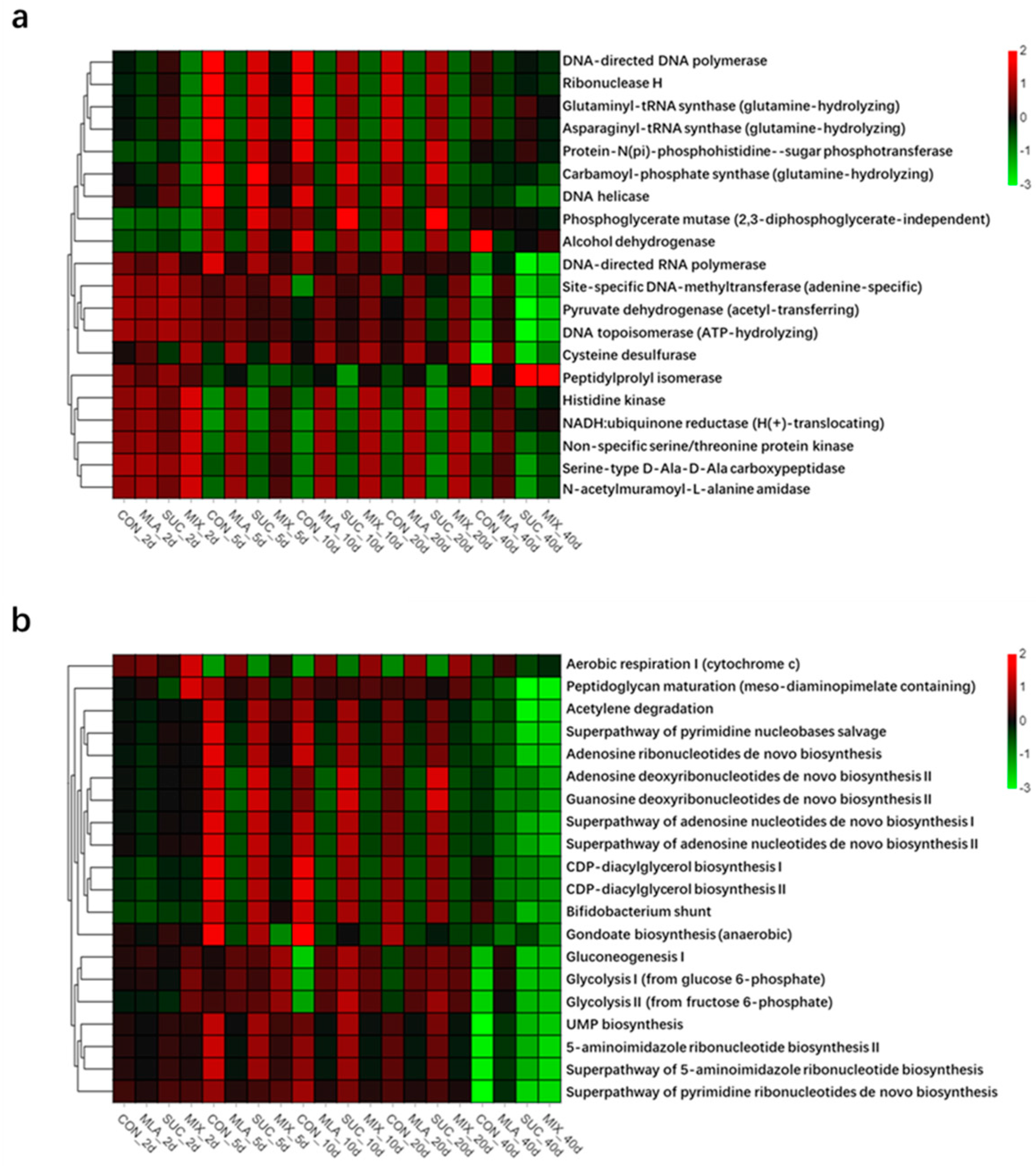 Microorganisms 09 02102 g003