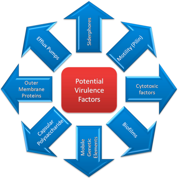 Microorganisms 09 02104 g002 Microorganisms 09 02104 g002