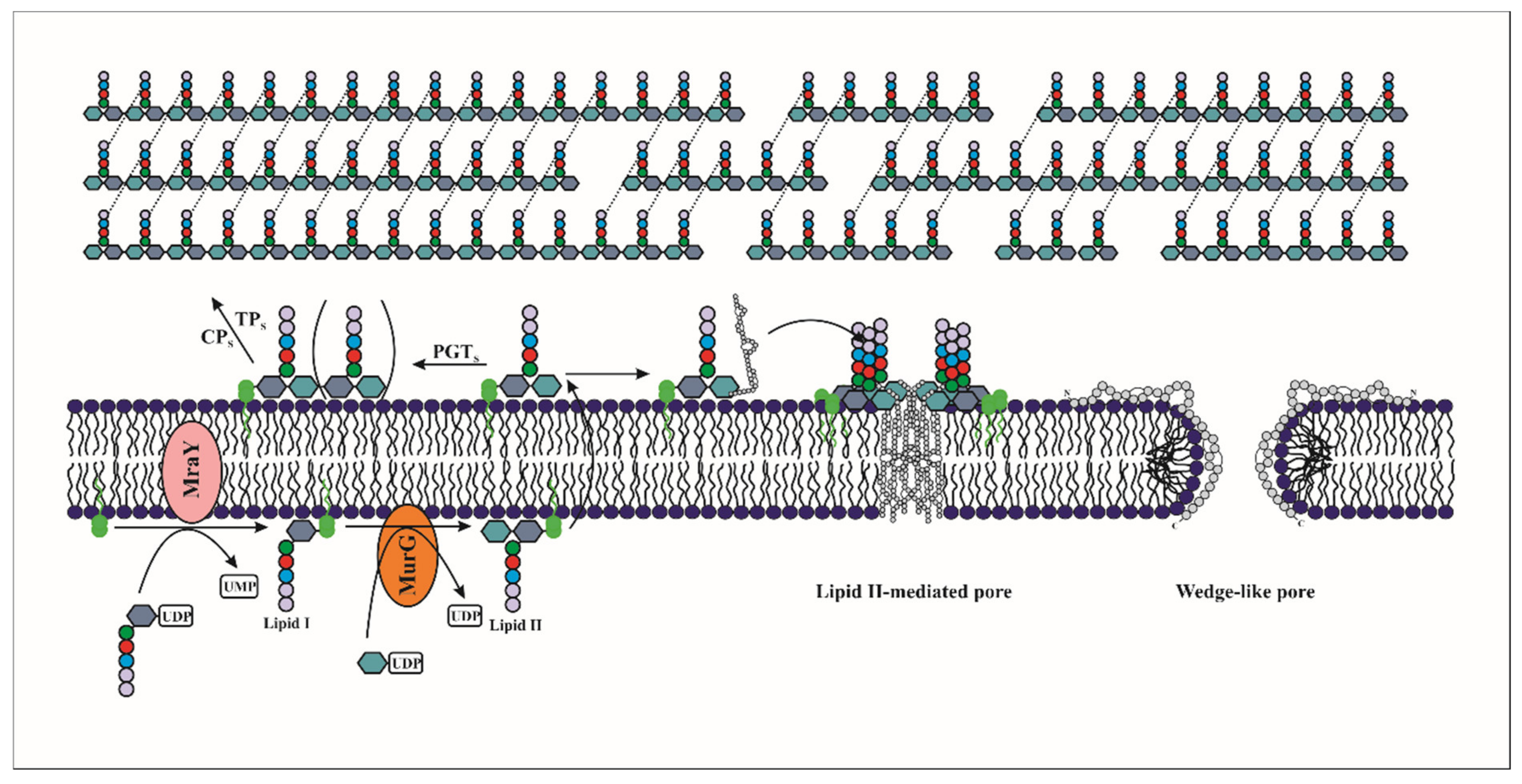 Microorganisms 09 02107 g003 Microorganisms 09 02107 g003