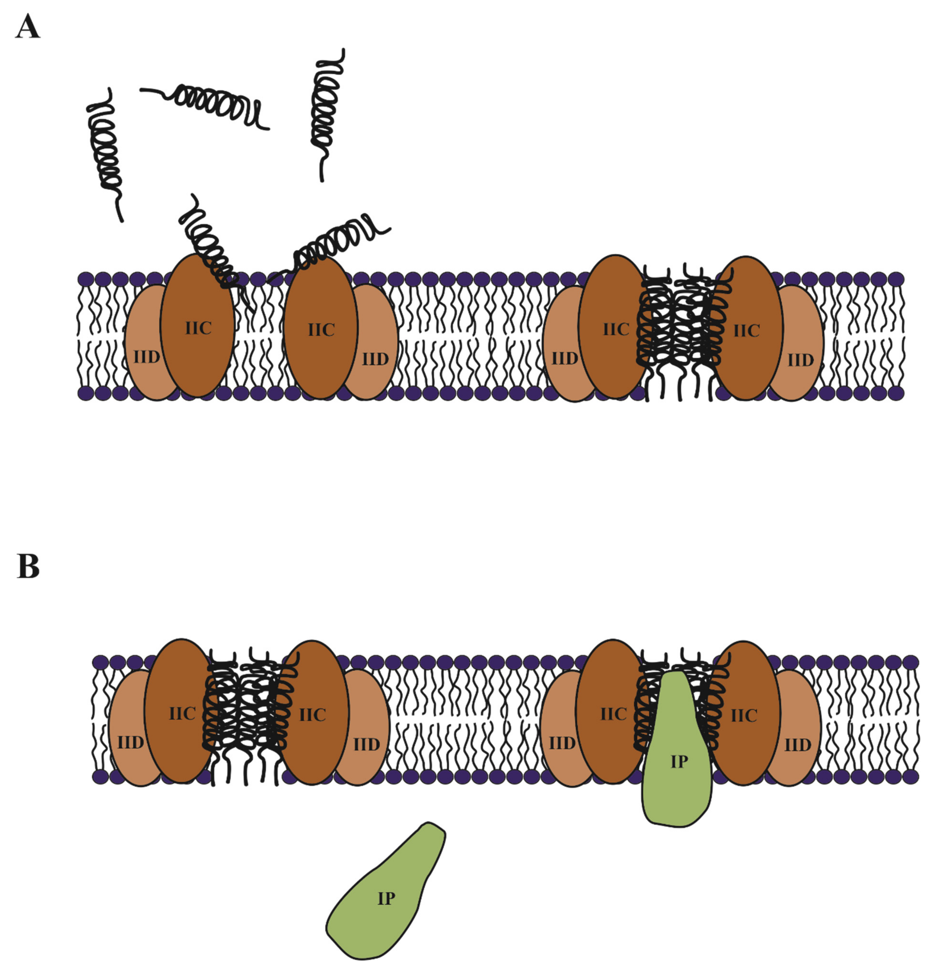 Microorganisms 09 02107 g005 Microorganisms 09 02107 g005