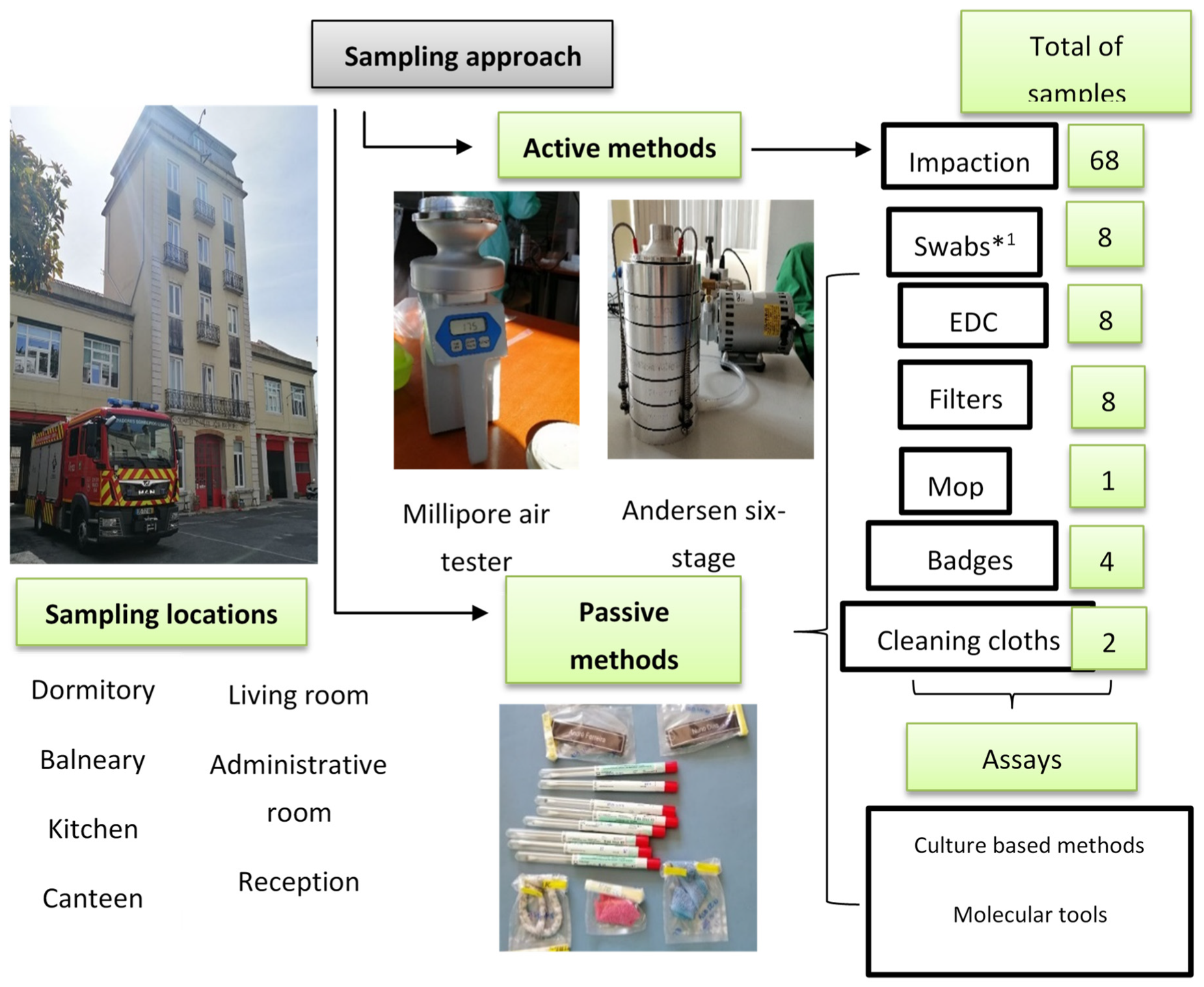 Microorganisms 09 02112 g002 Microorganisms 09 02112 g002