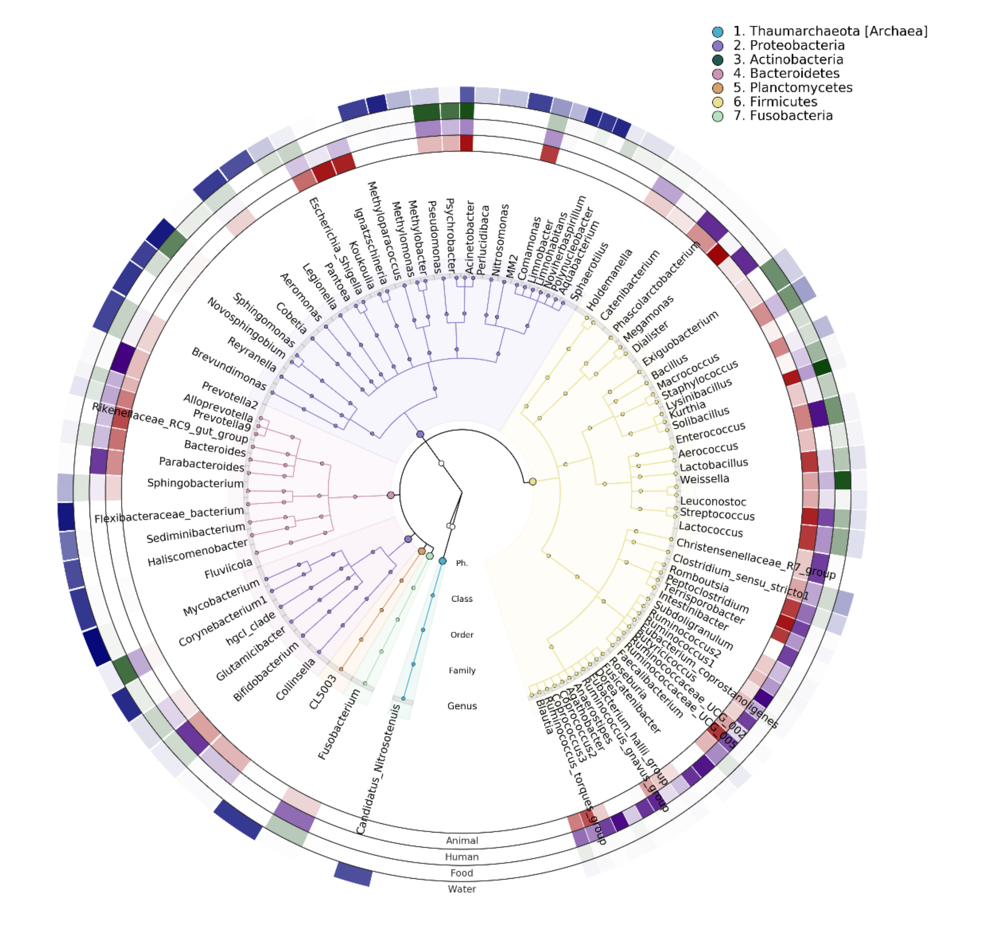 Microorganisms 09 02115 g007