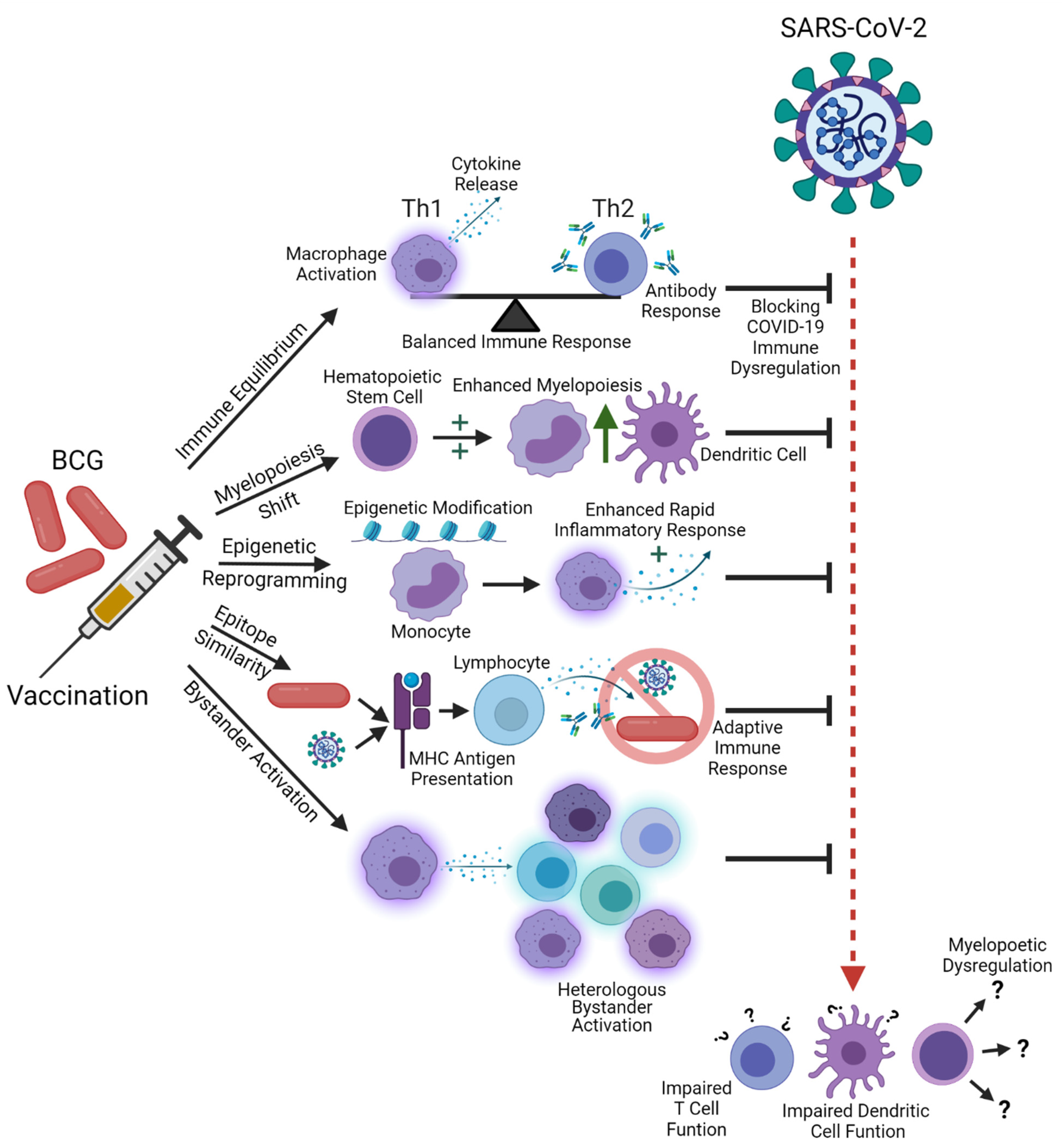 Microorganisms Free Full-Text COVID pic