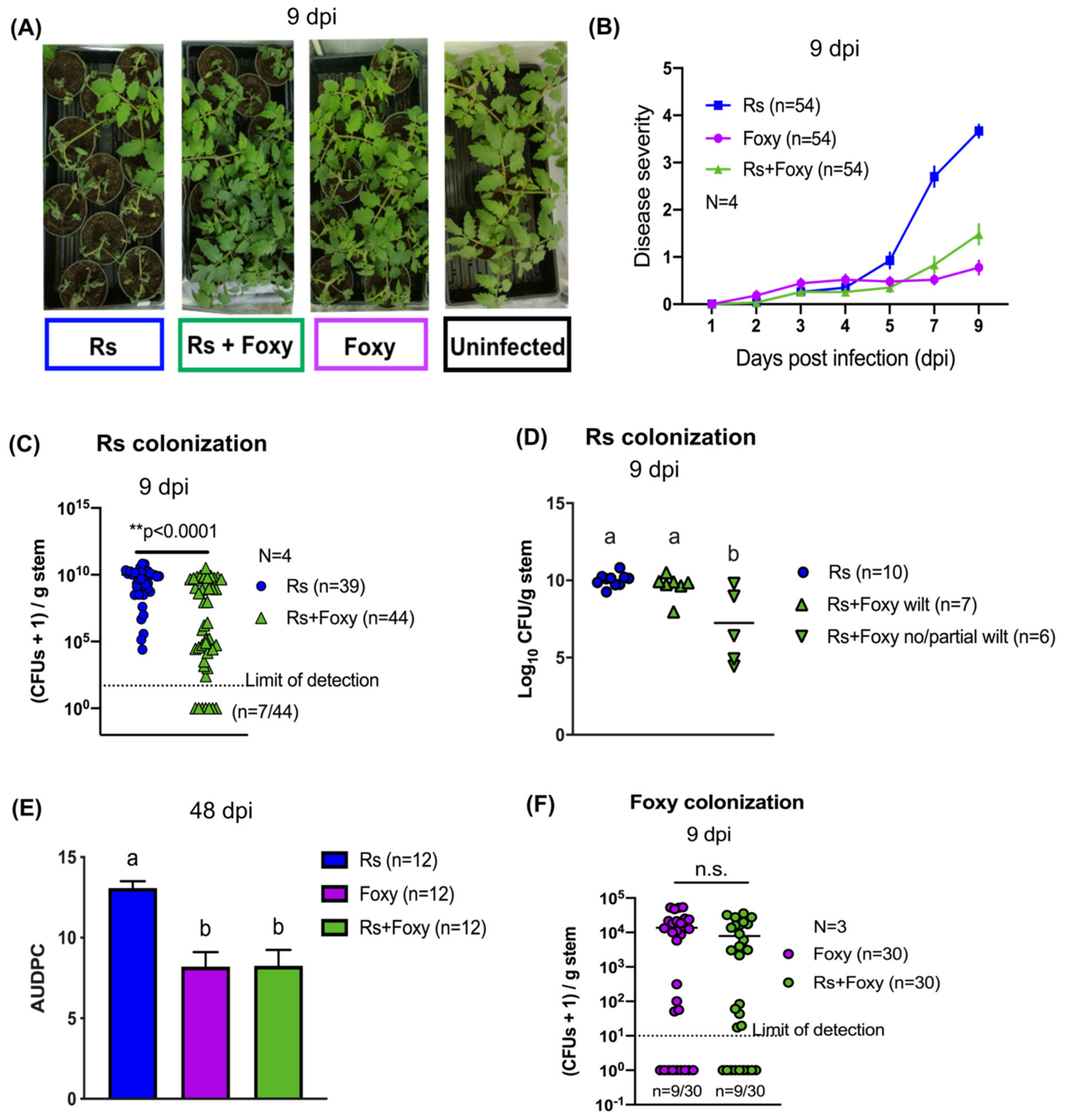 Microorganisms 09 02123 g001