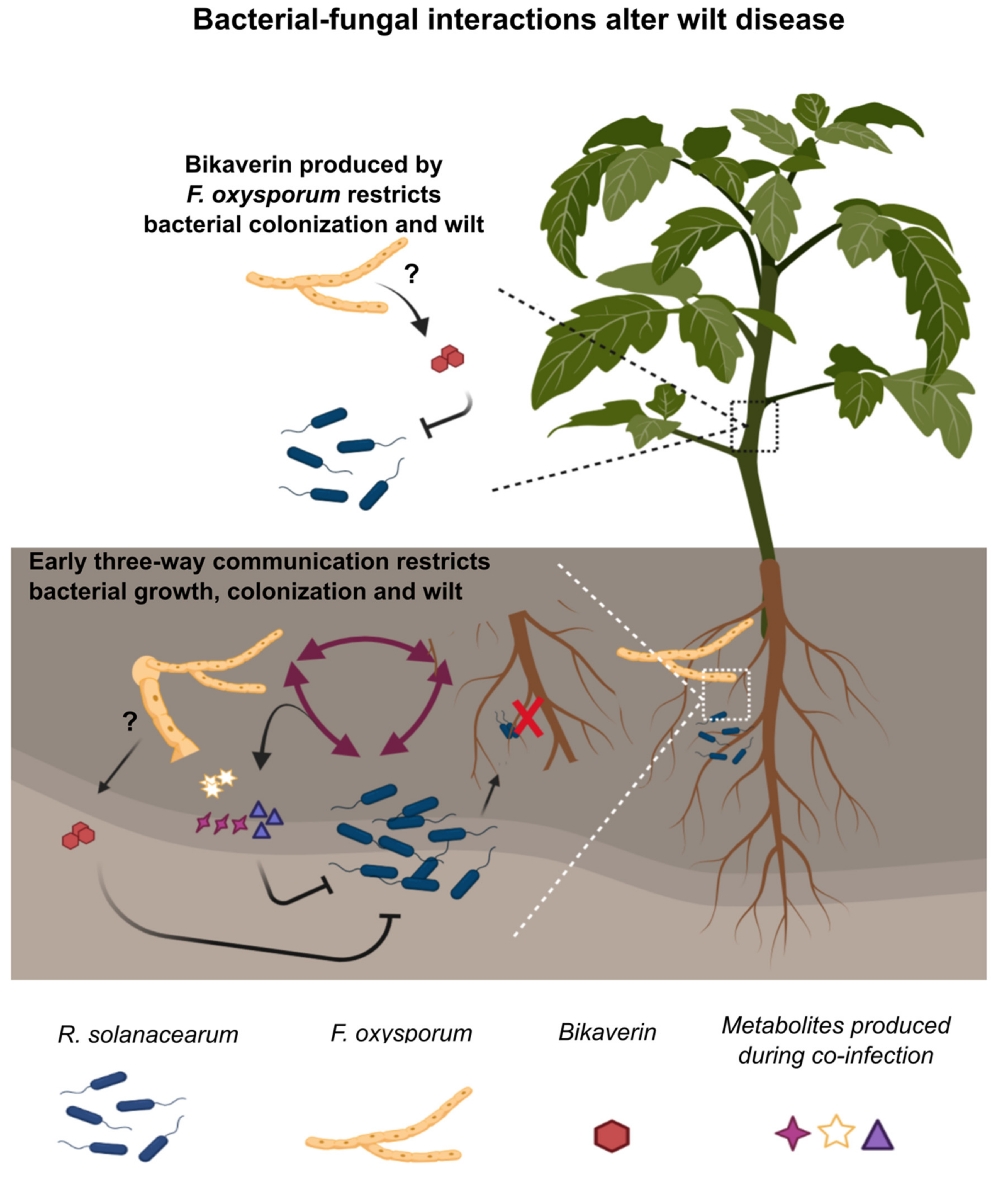 Microorganisms 09 02123 g006
