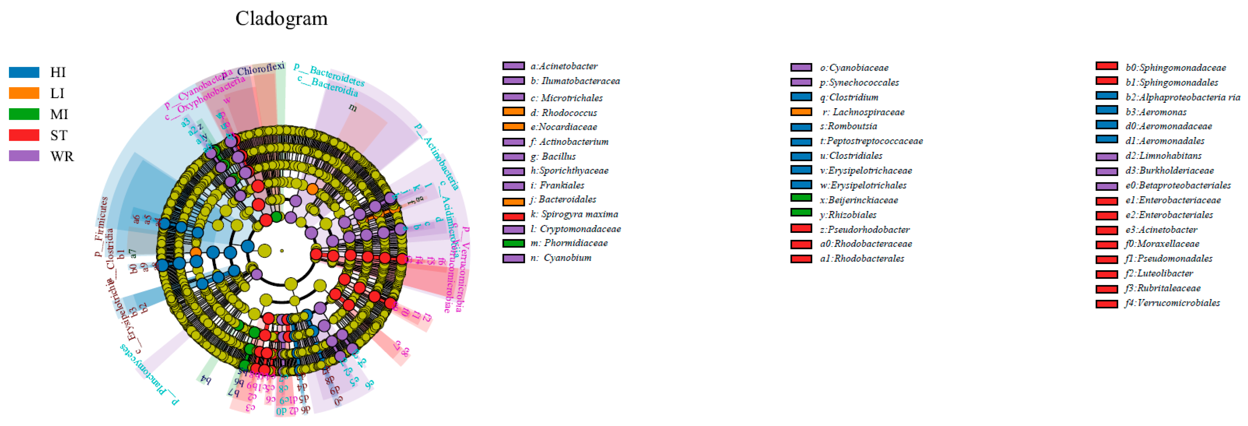 Microorganisms 09 02125 g004