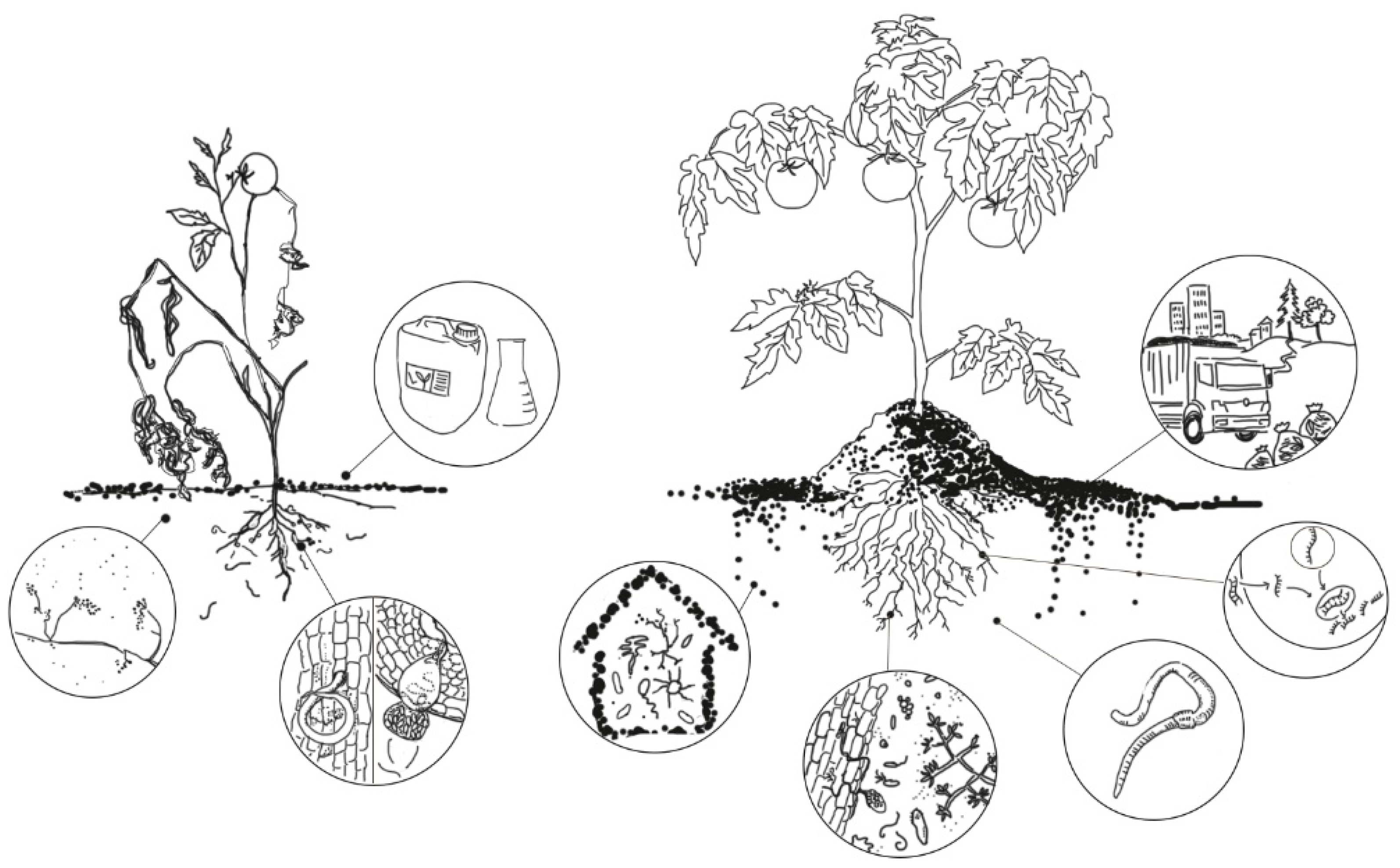 BR112015013895B1 - COMPOUND, AGRICULTURAL COMPOSITION, USING A COMPOUND,  METHOD TO COMBAT ANIMAL PEST, METHOD TO PROTECT CROPS, METHOD TO PROTECT  SEEDS, METHOD TO PREPARE A COMPOSITION AND METHOD TO PREPARE A COMPOUND 