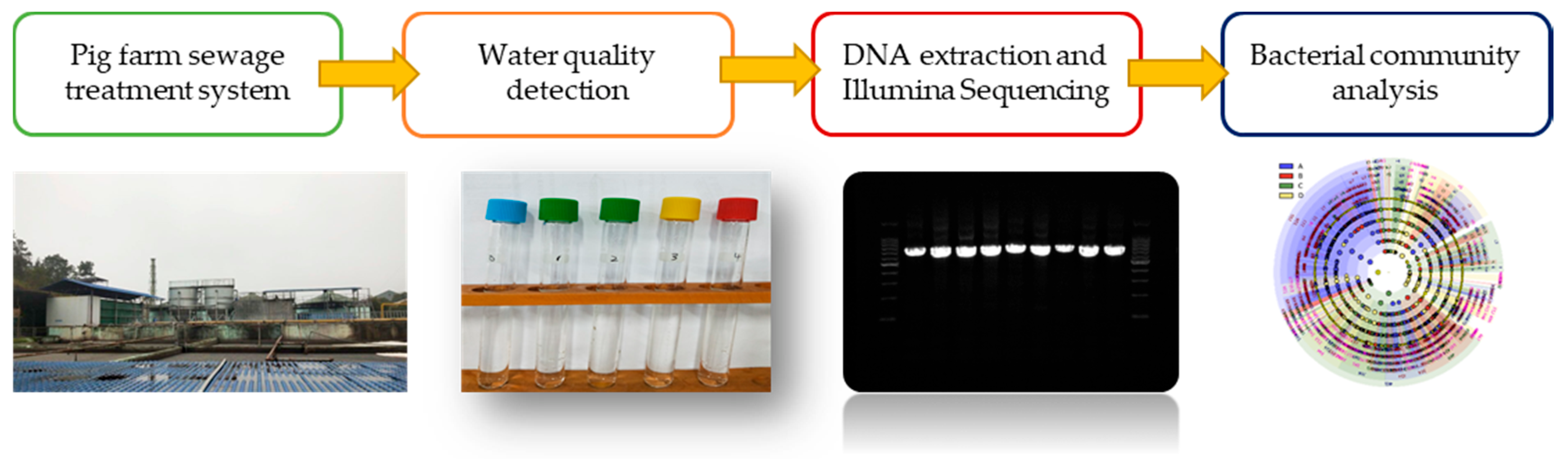 Microorganisms 09 02134 g001 550