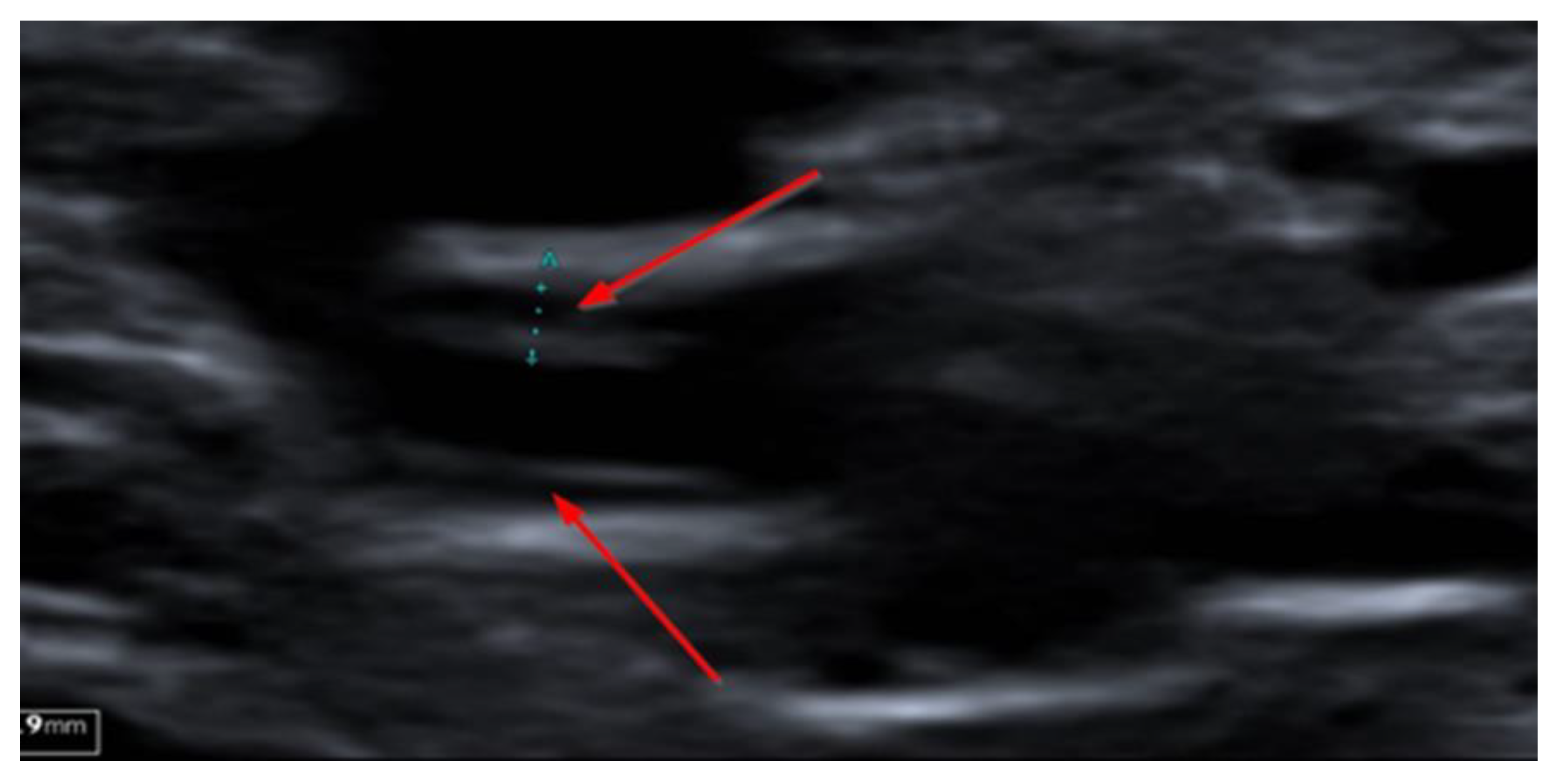 Microorganisms 09 02138 g004 Microorganisms 09 02138 g004