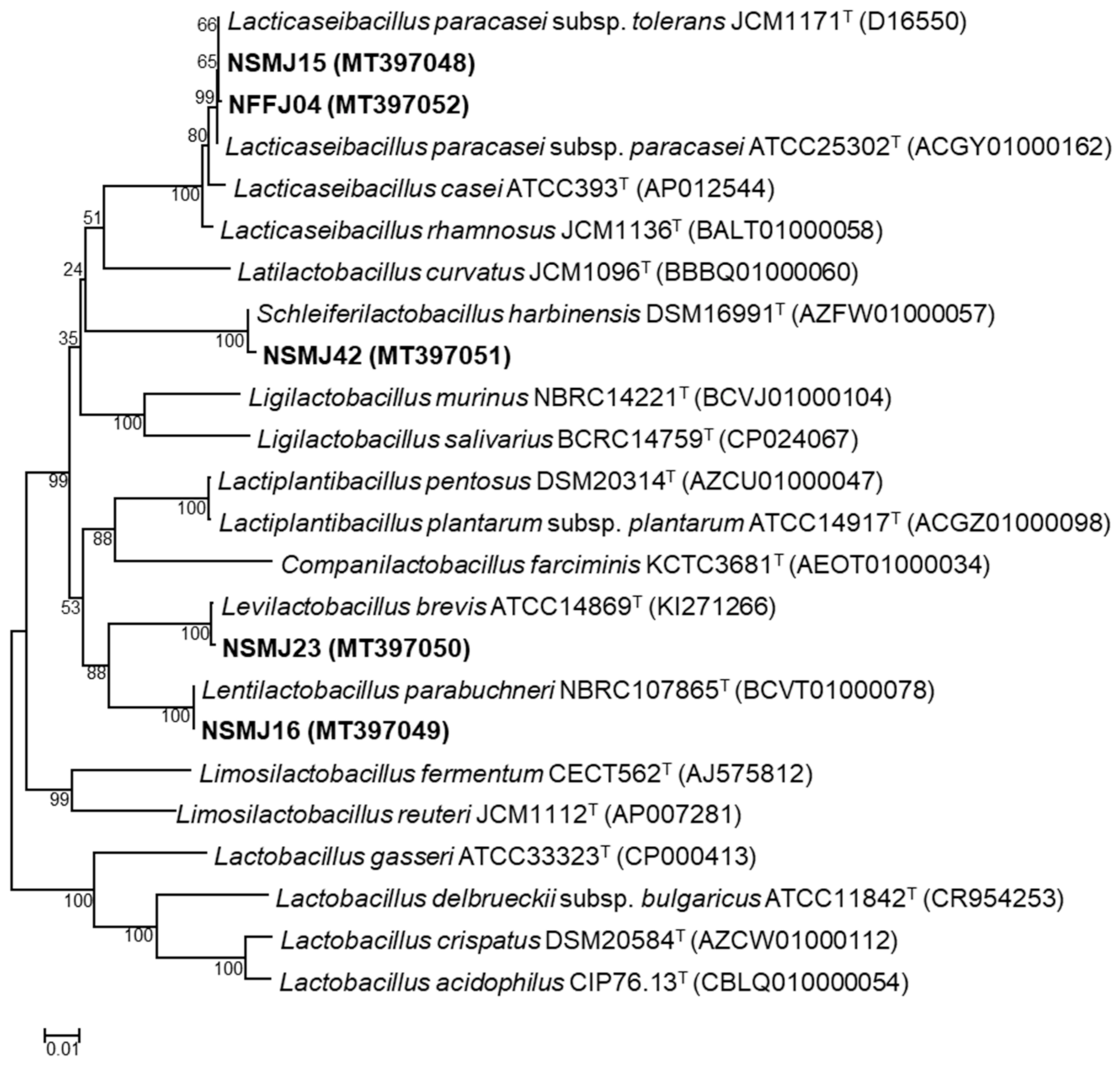 Microorganisms 09 02141 g001 Microorganisms 09 02141 g001