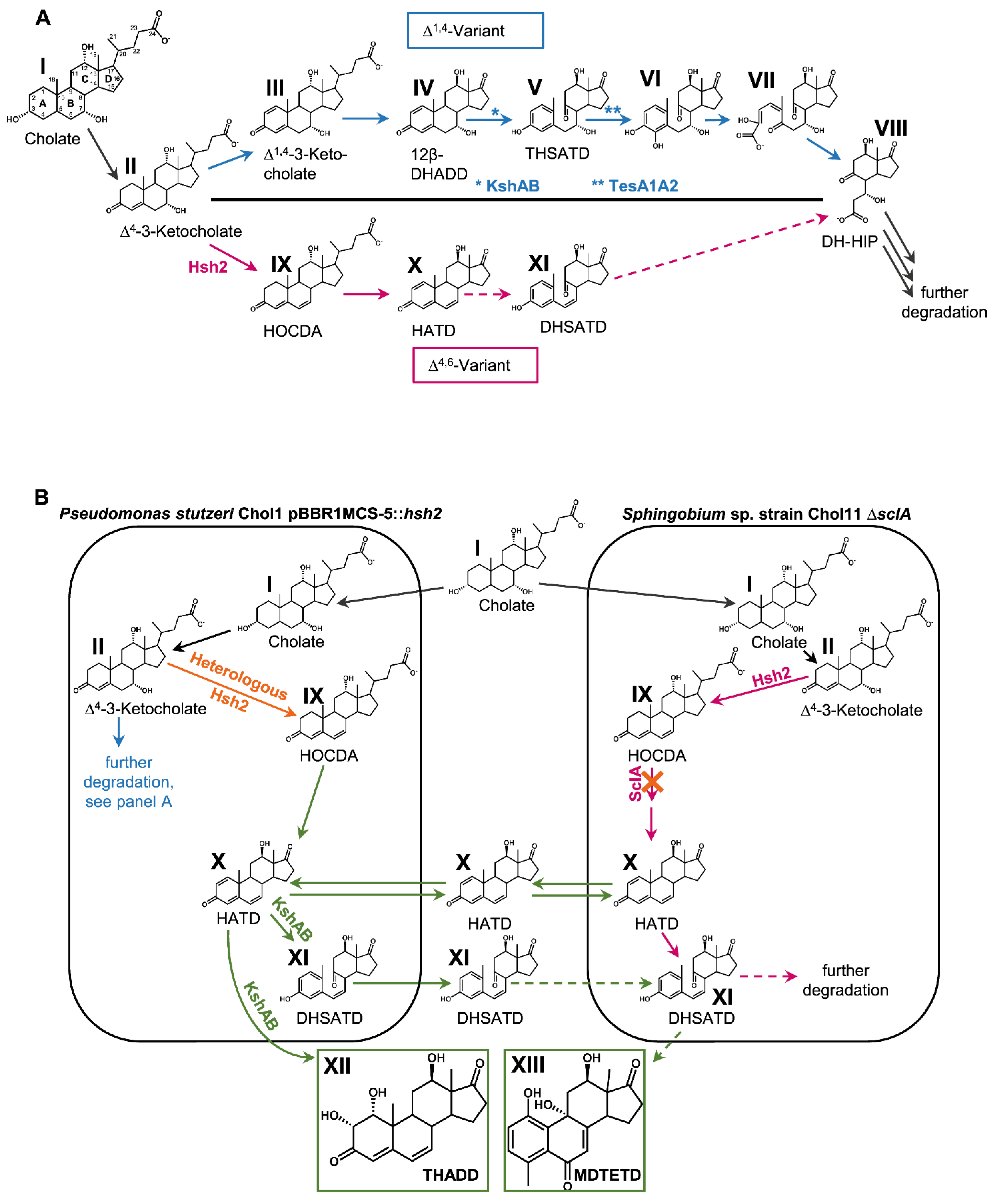Microorganisms 09 02146 g001