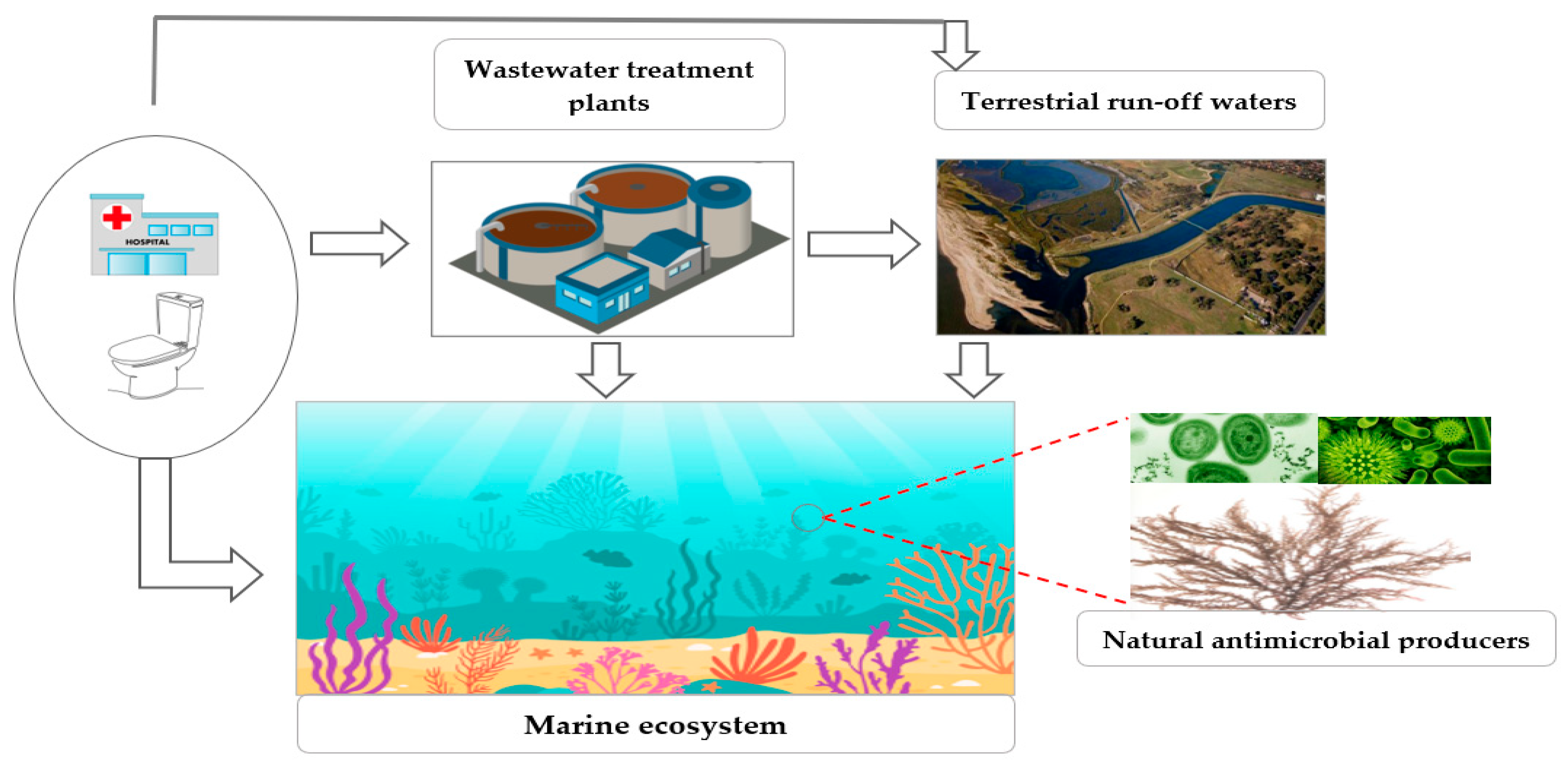 Microorganisms 09 02147 g001