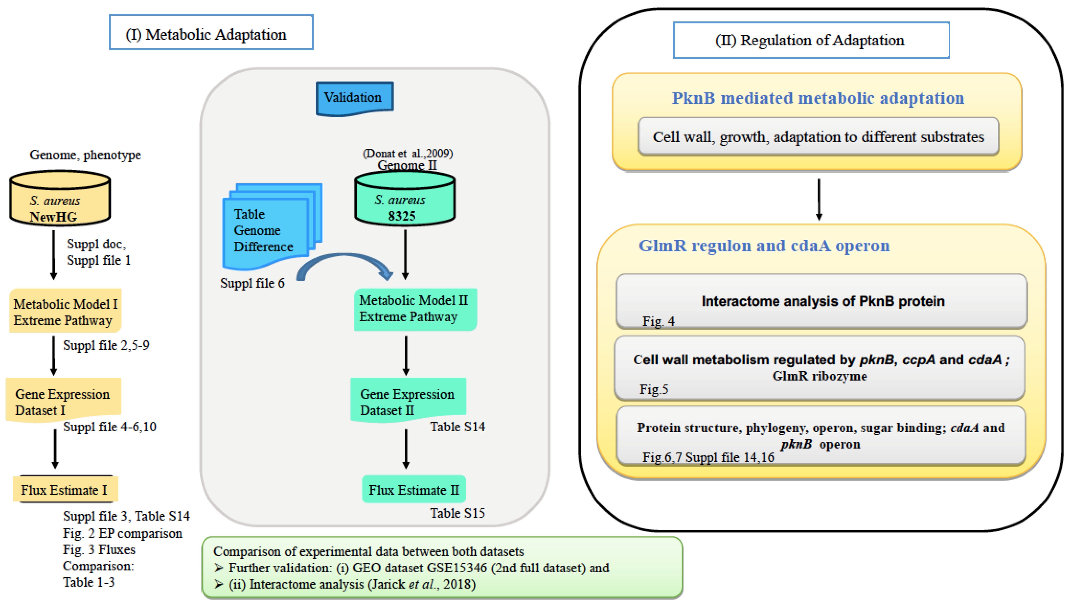 Analyze table. Regulation Gene expression in metabolism