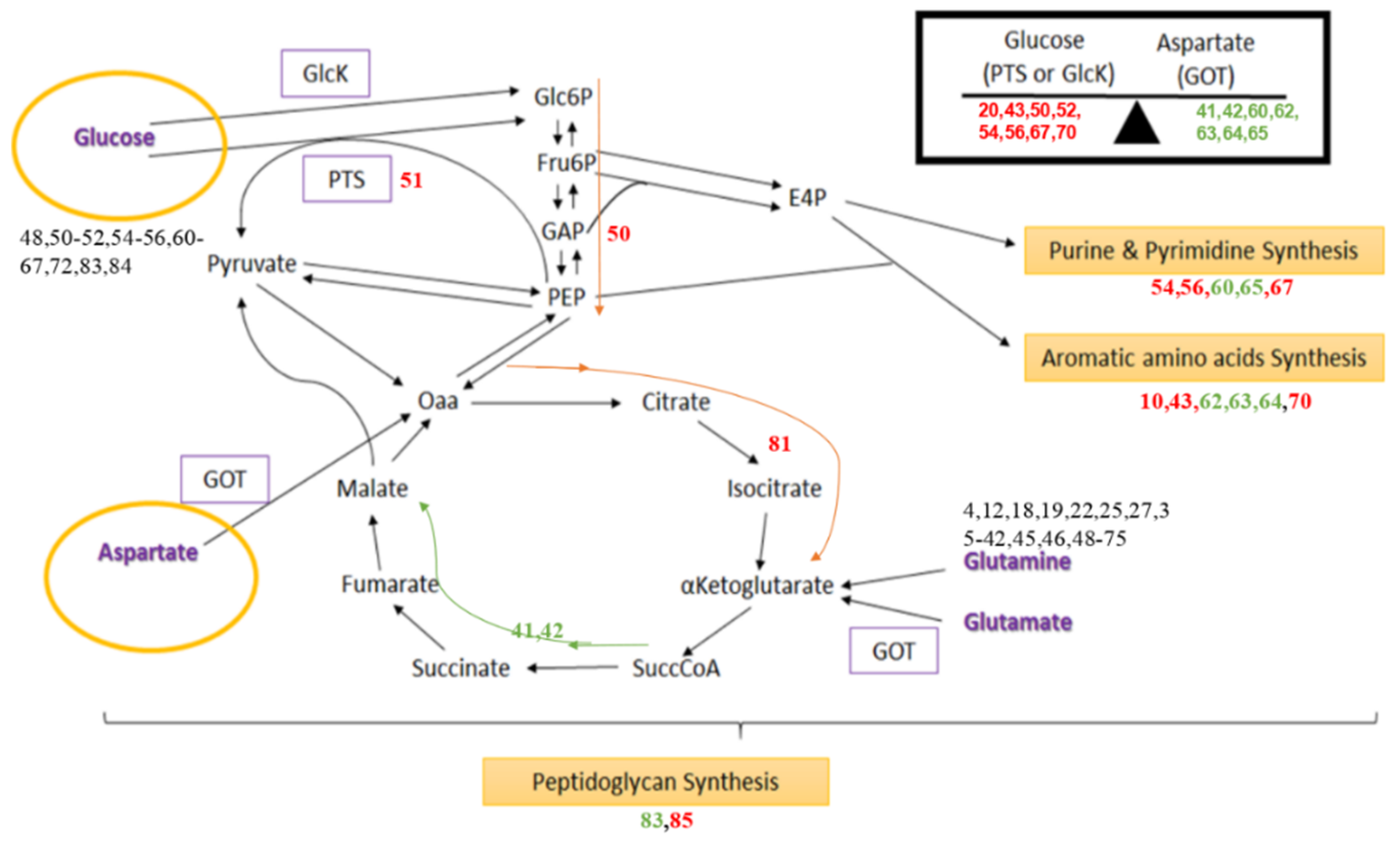 Microorganisms 09 02148 g003 550