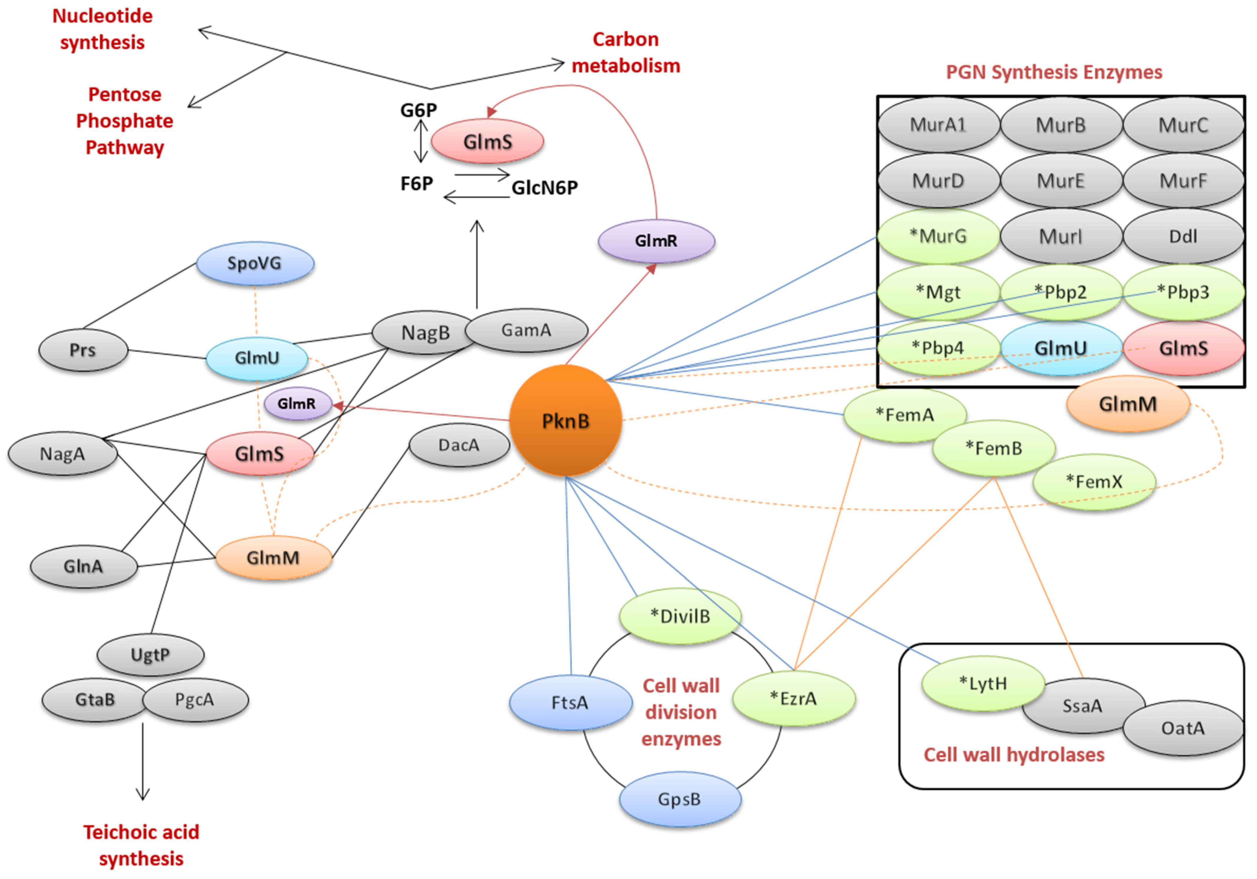 Microorganisms 09 02148 g004 550