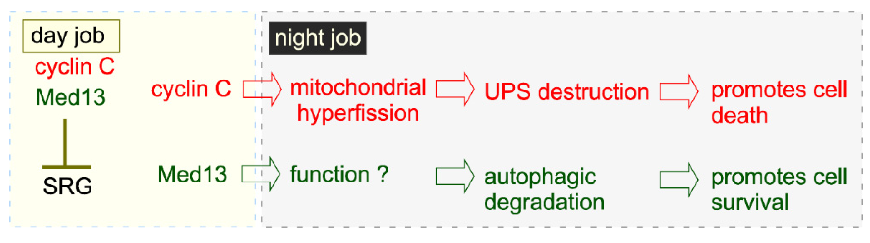 Microorganisms 09 02152 g006 Microorganisms 09 02152 g006