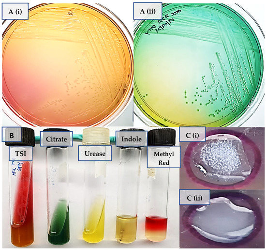 Free FullText Whole Genome Sequencing Analysis of