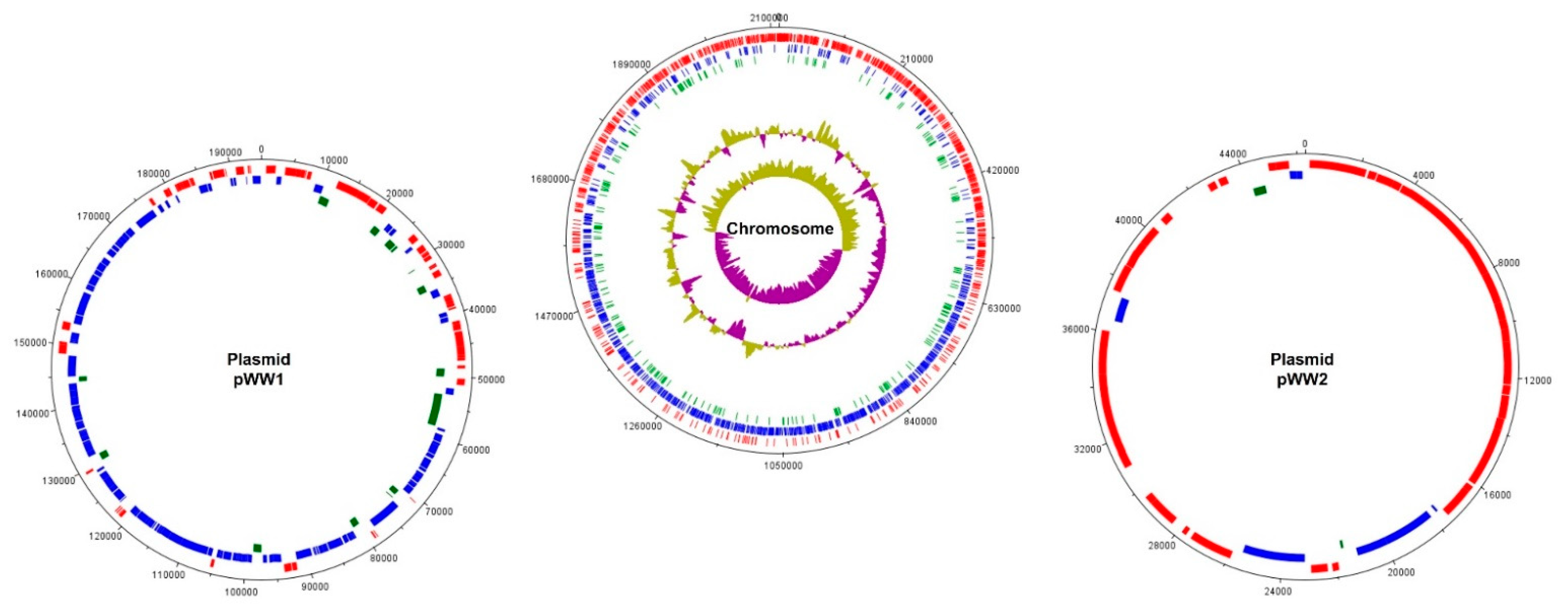 Microorganisms 09 02158 g001