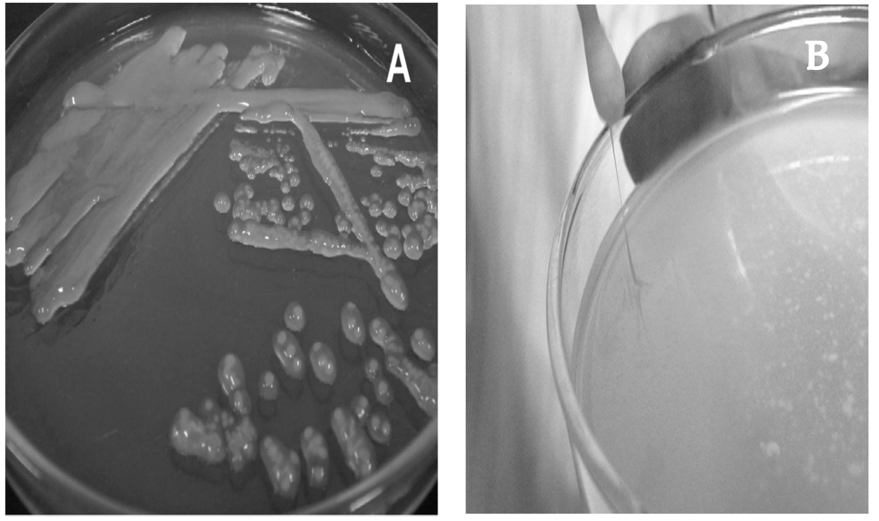 Microorganisms 09 02158 g002