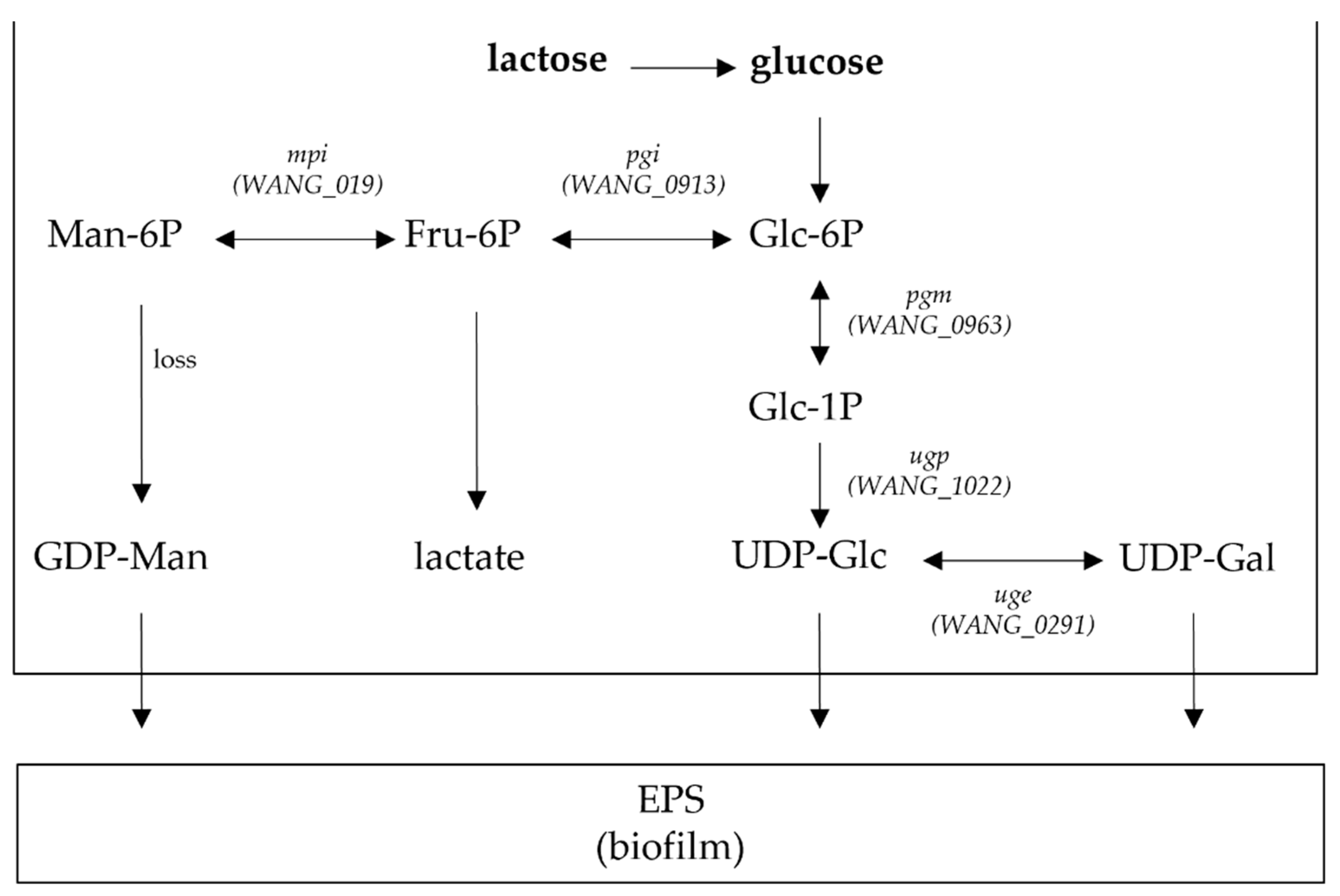 Microorganisms 09 02158 g004