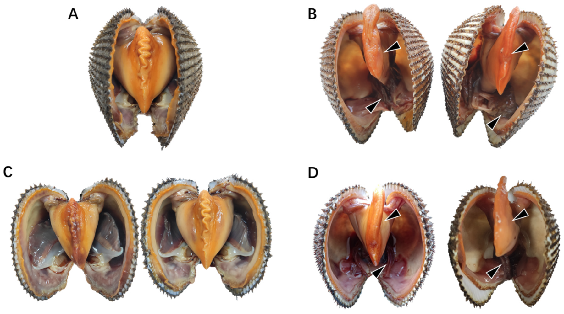 Free FullText Isolation and Characterization of