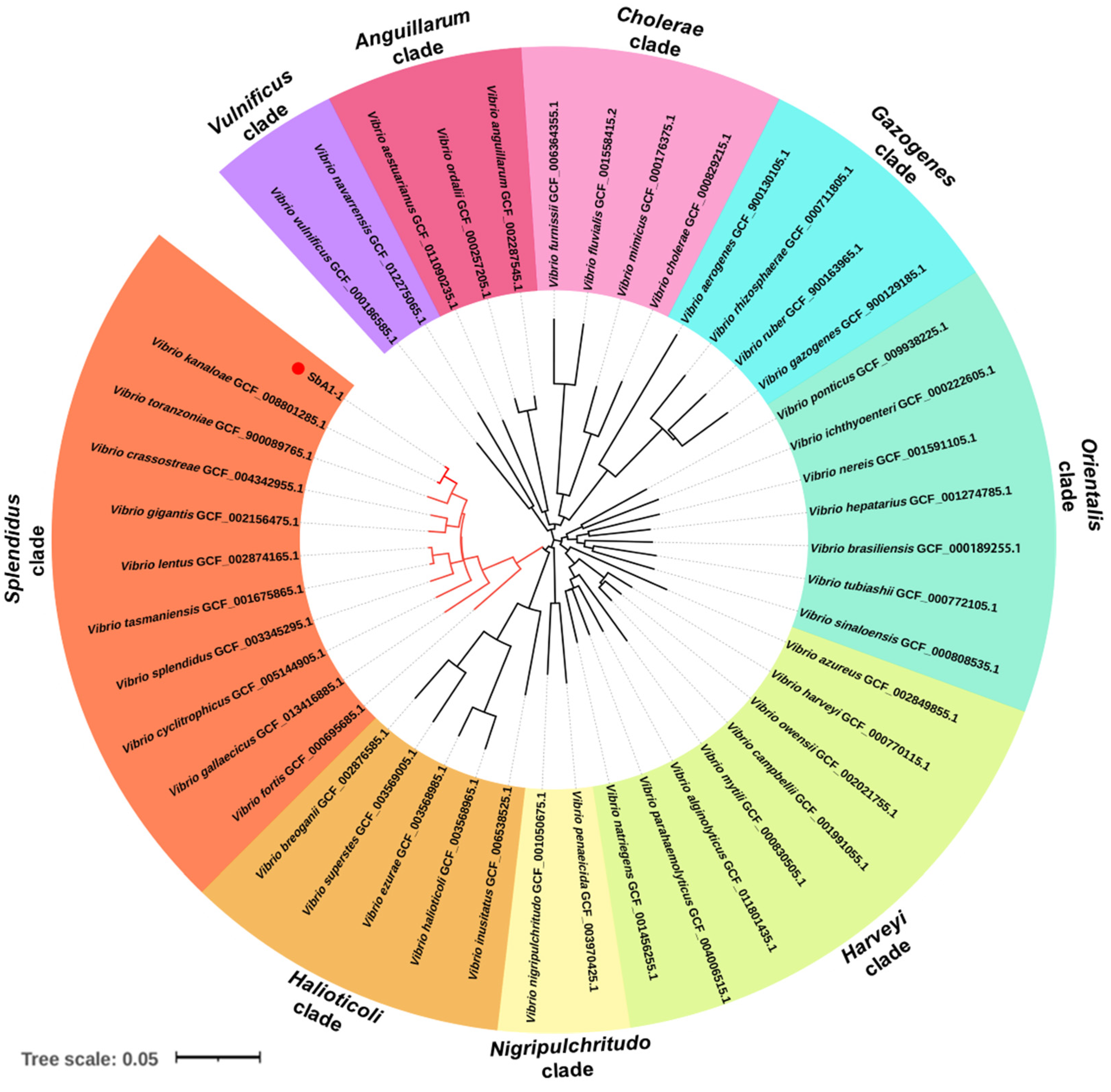 Microorganisms 09 02161 g004 Microorganisms 09 02161 g004