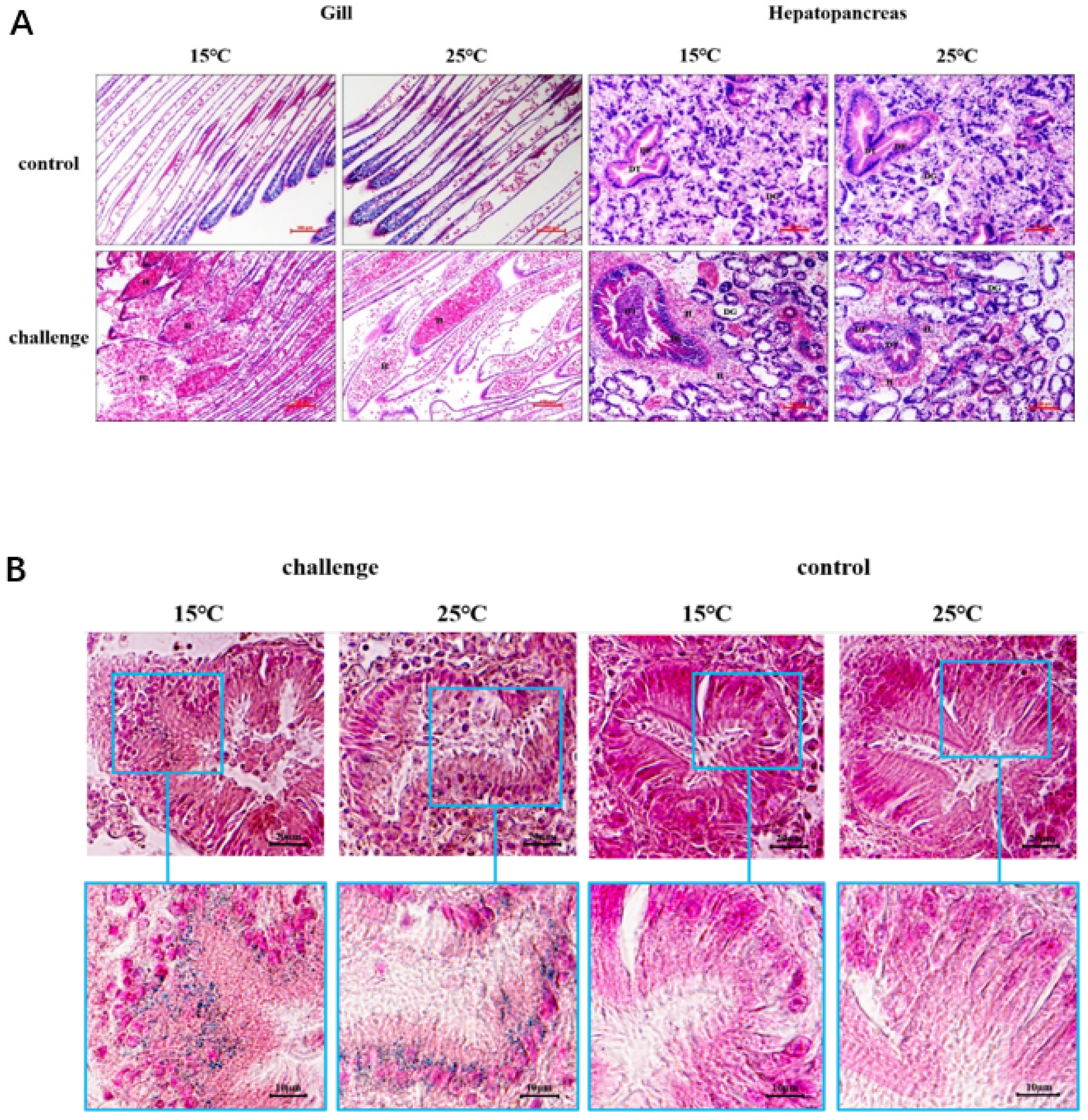 Microorganisms 09 02161 g006 Microorganisms 09 02161 g006